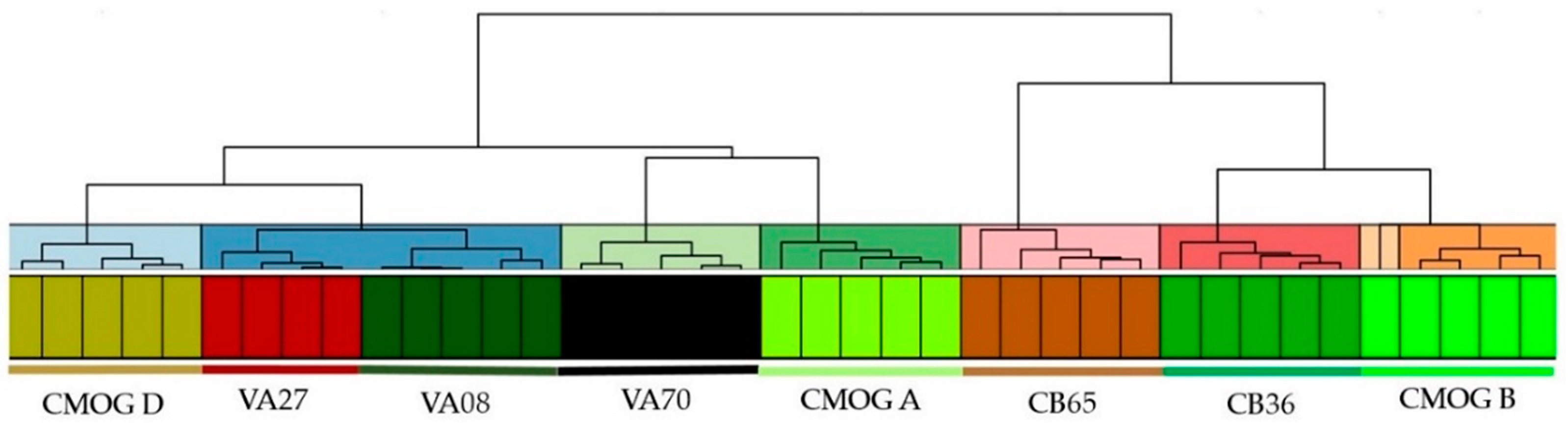 Molecules 27 06068 g008