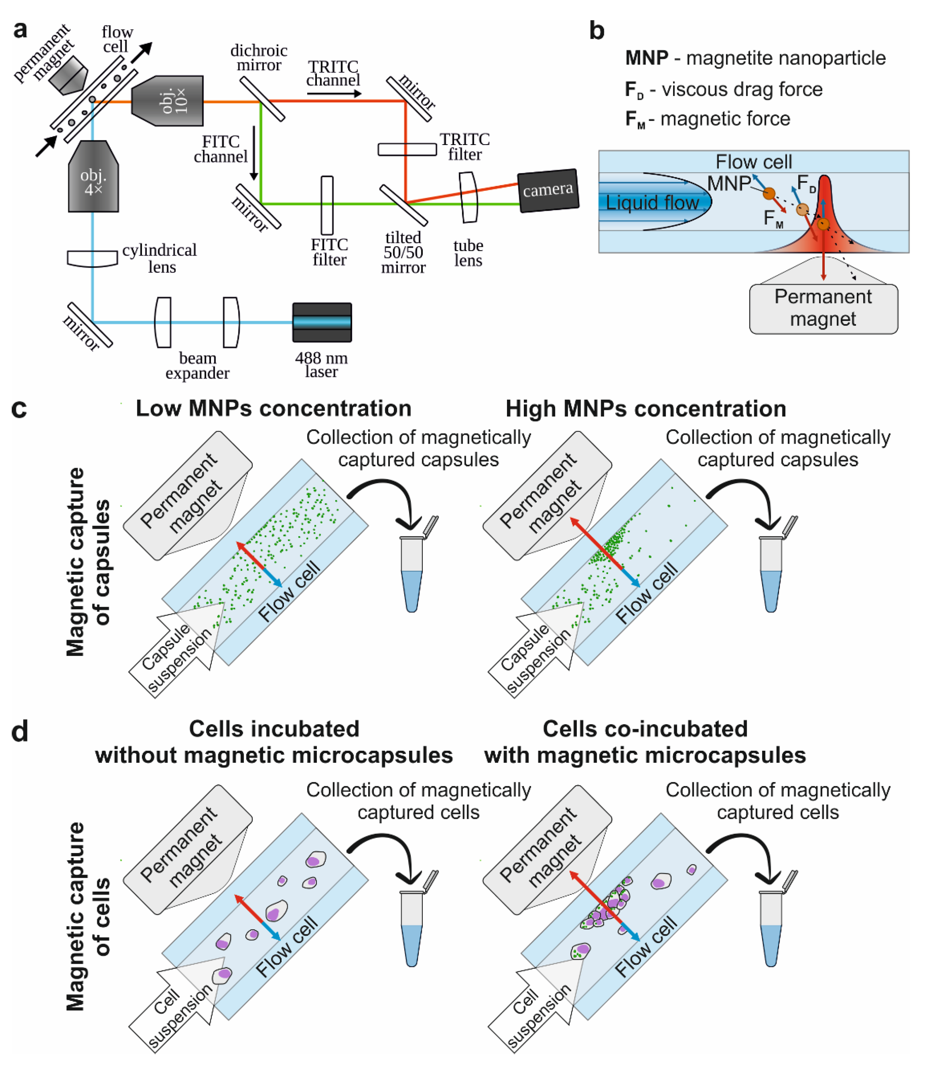 Molecules 27 06073 g002