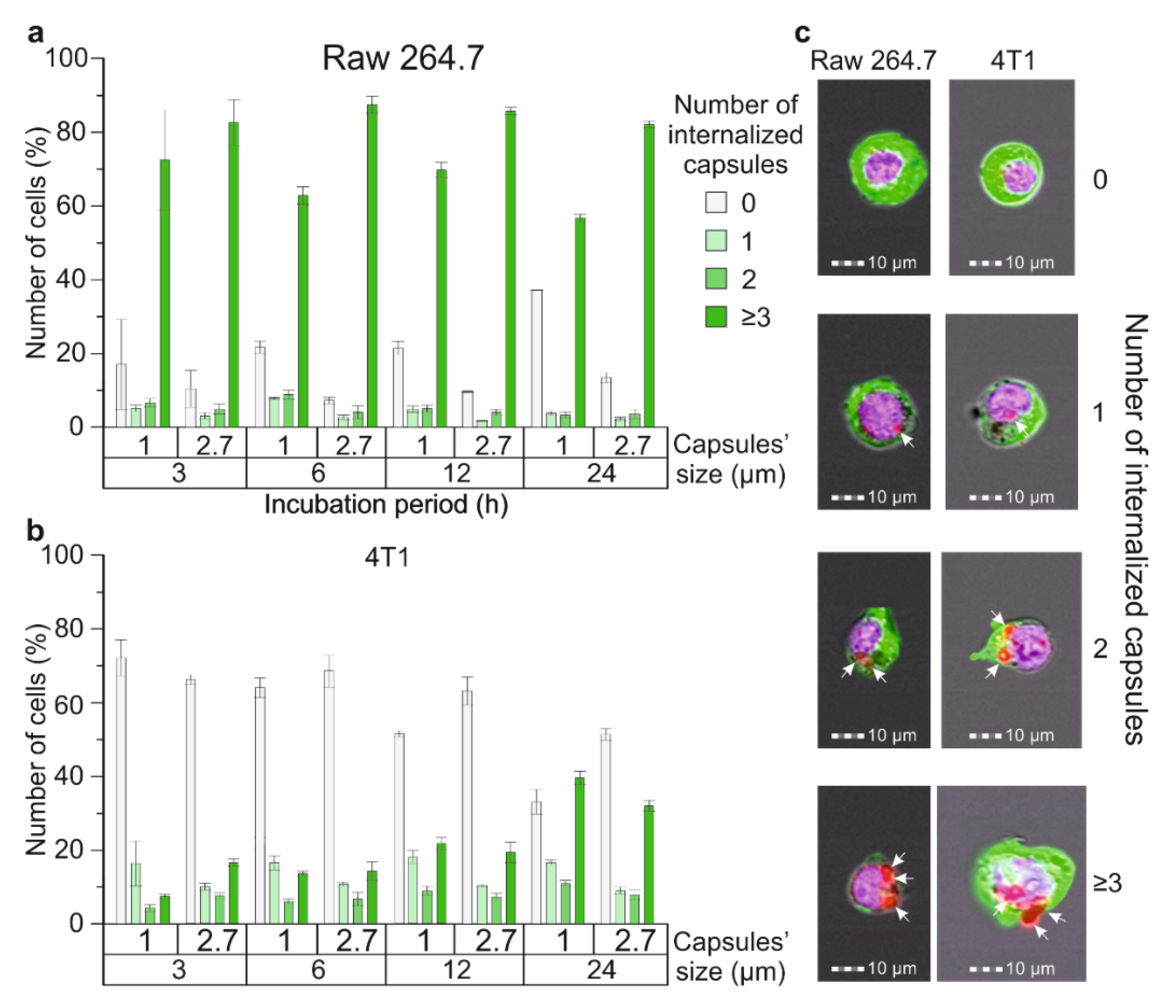 Molecules 27 06073 g004