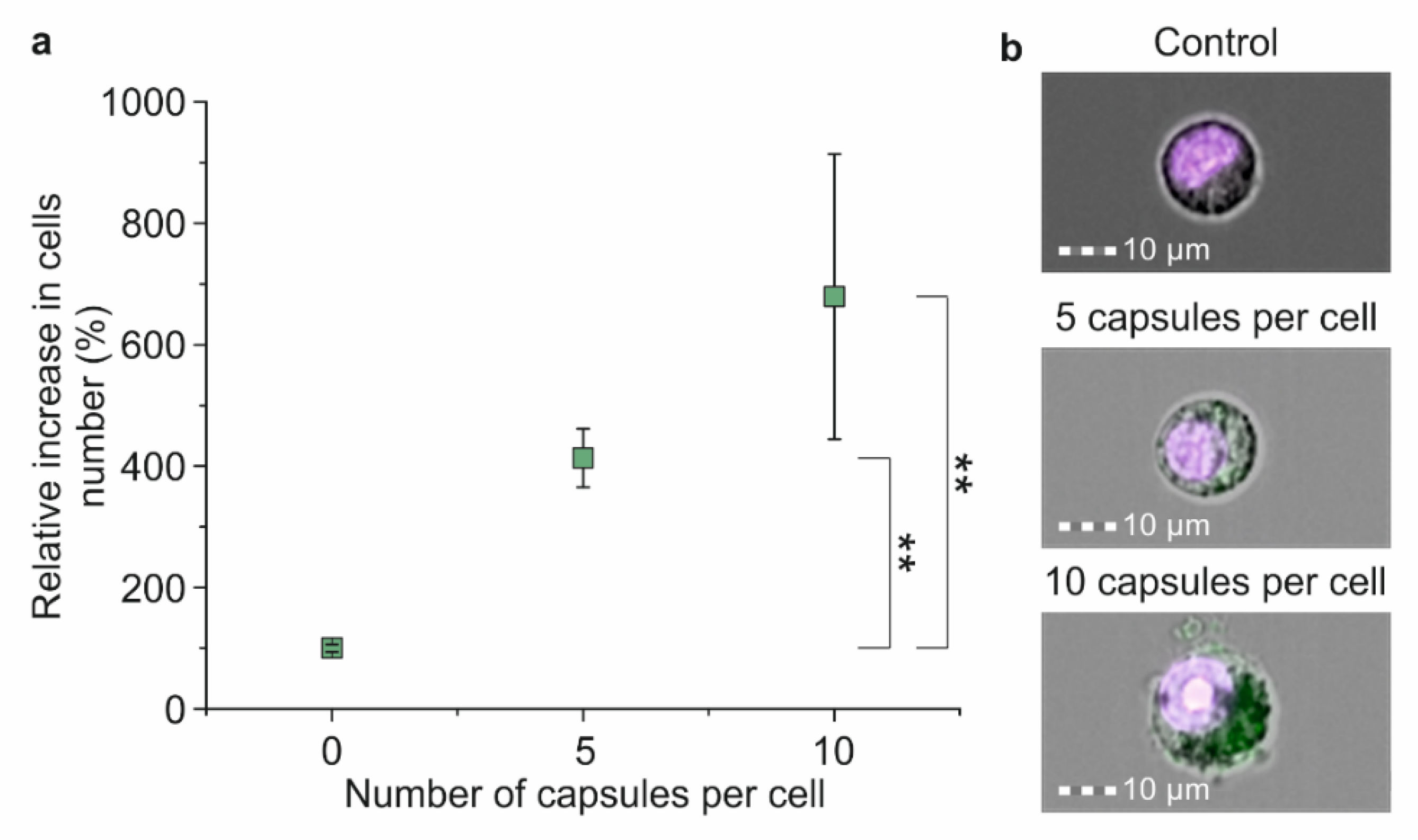 Molecules 27 06073 g005