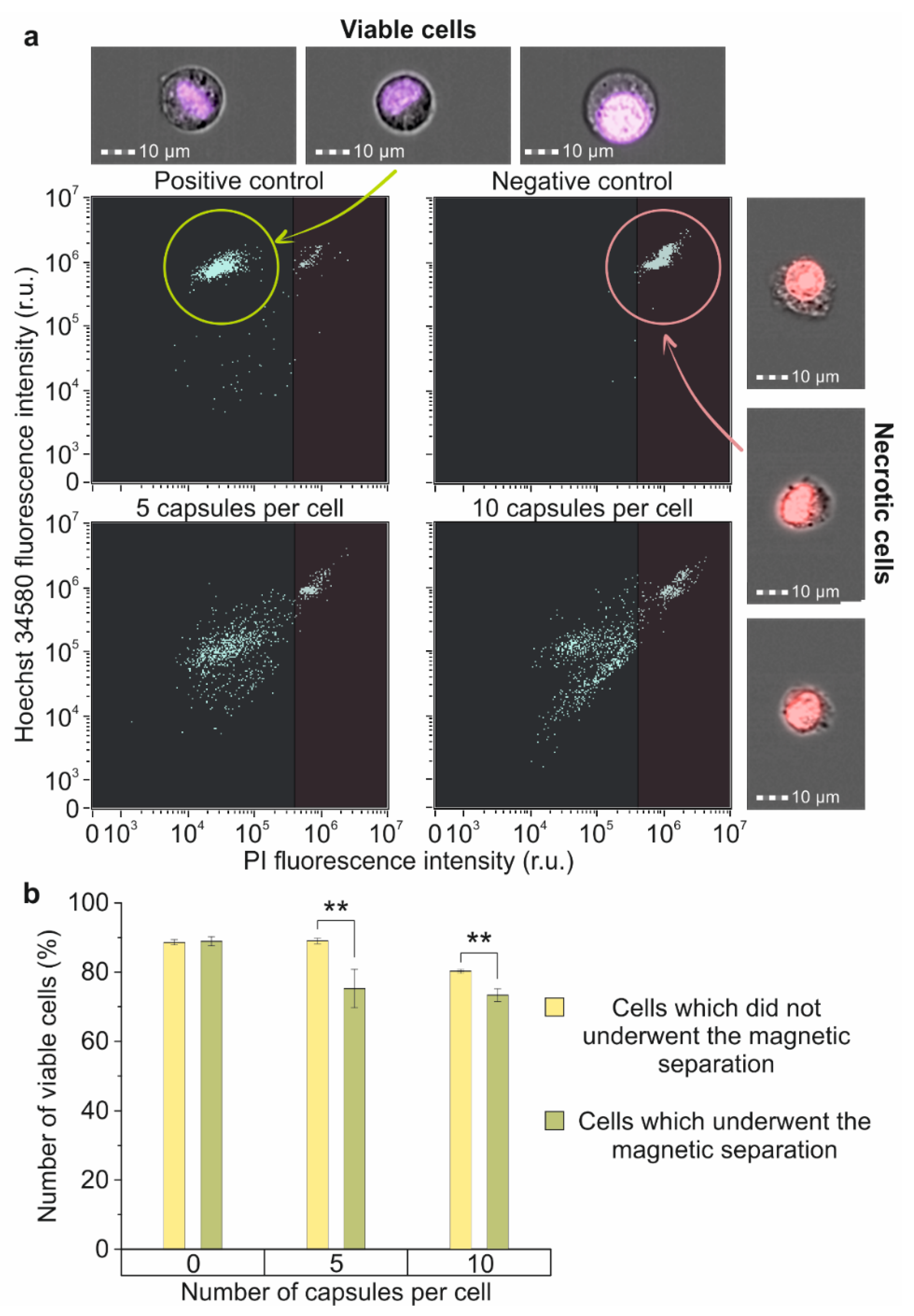 Molecules 27 06073 g006