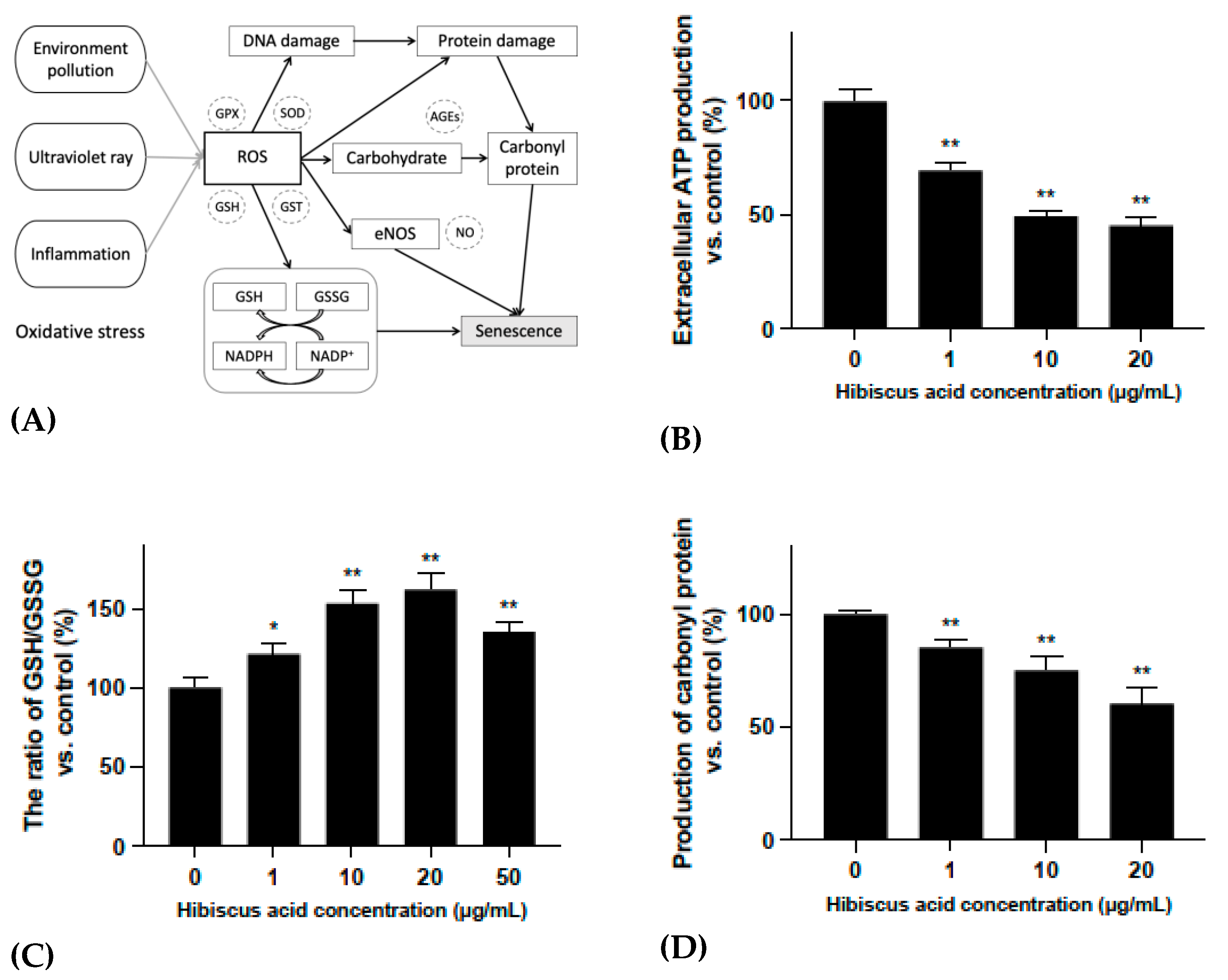 Molecules 27 06076 g004 Molecules 27 06076 g004