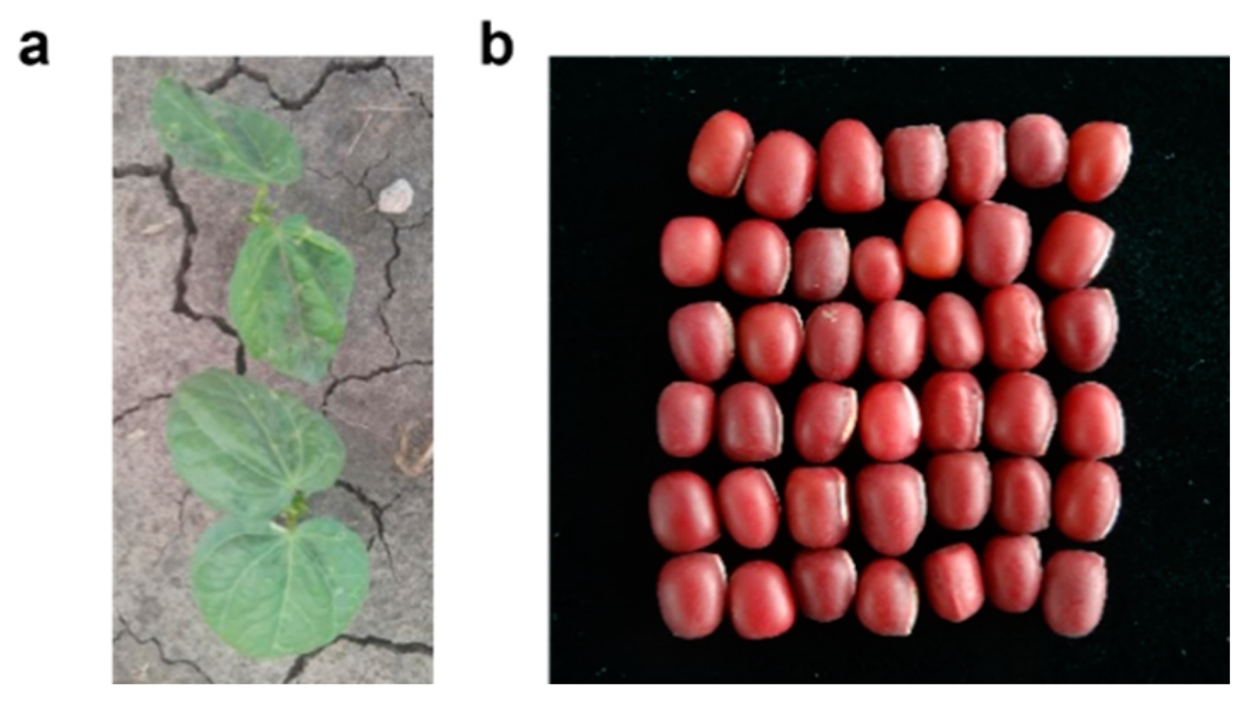 Molecules 27 06079 g001