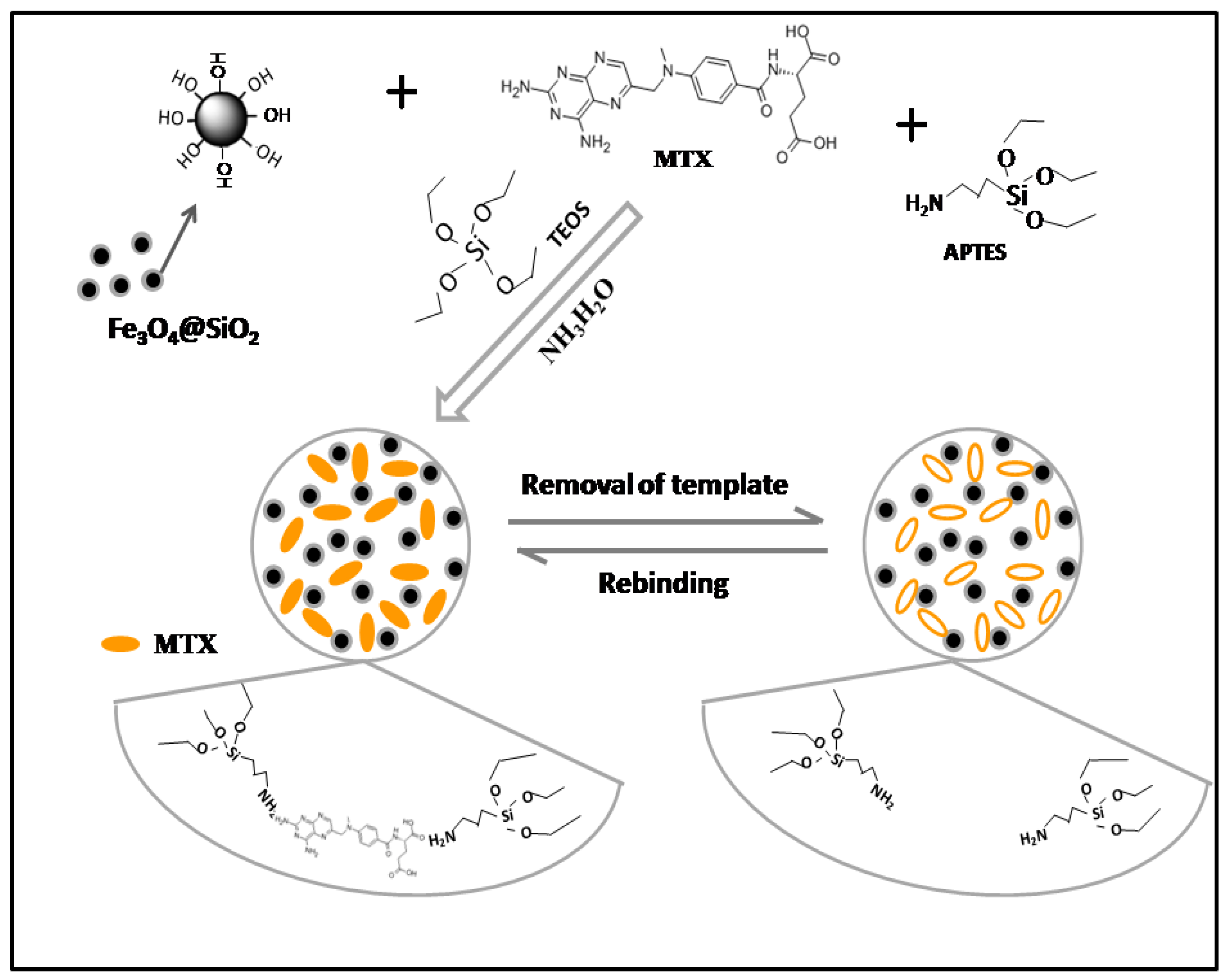 Molecules 27 06084 g001
