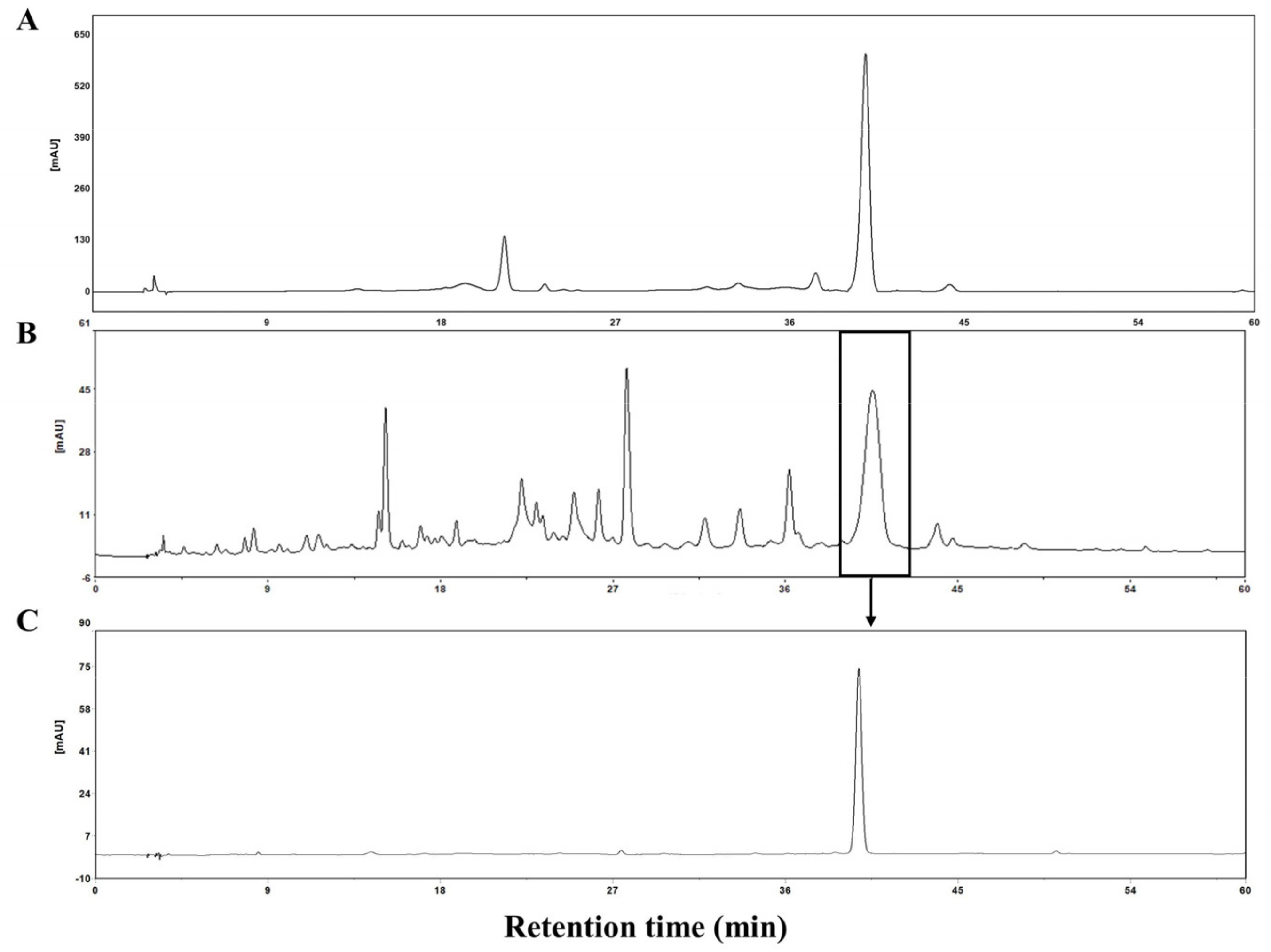 Molecules 27 06089 g0a1 Molecules 27 06089 g0a1