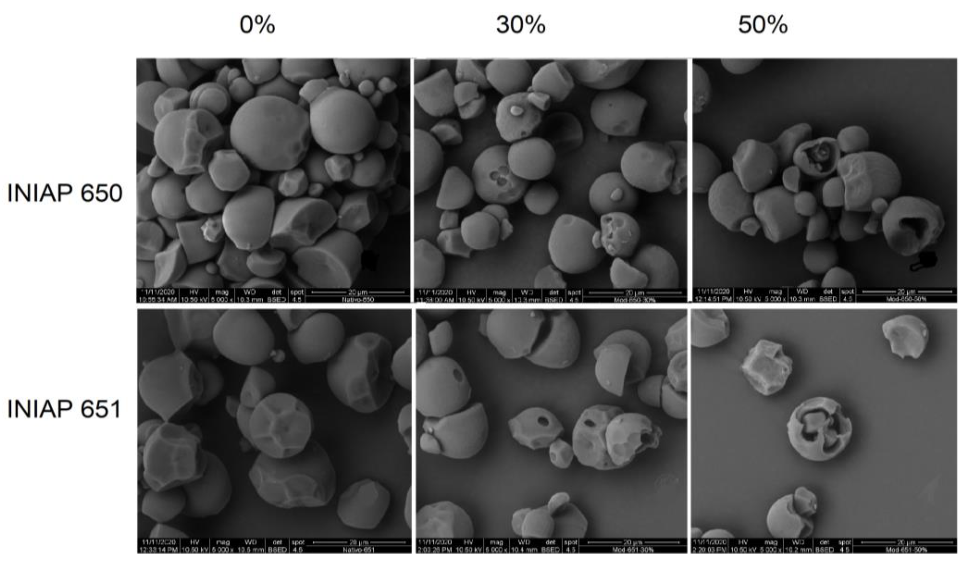 Molecules 27 06098 g001