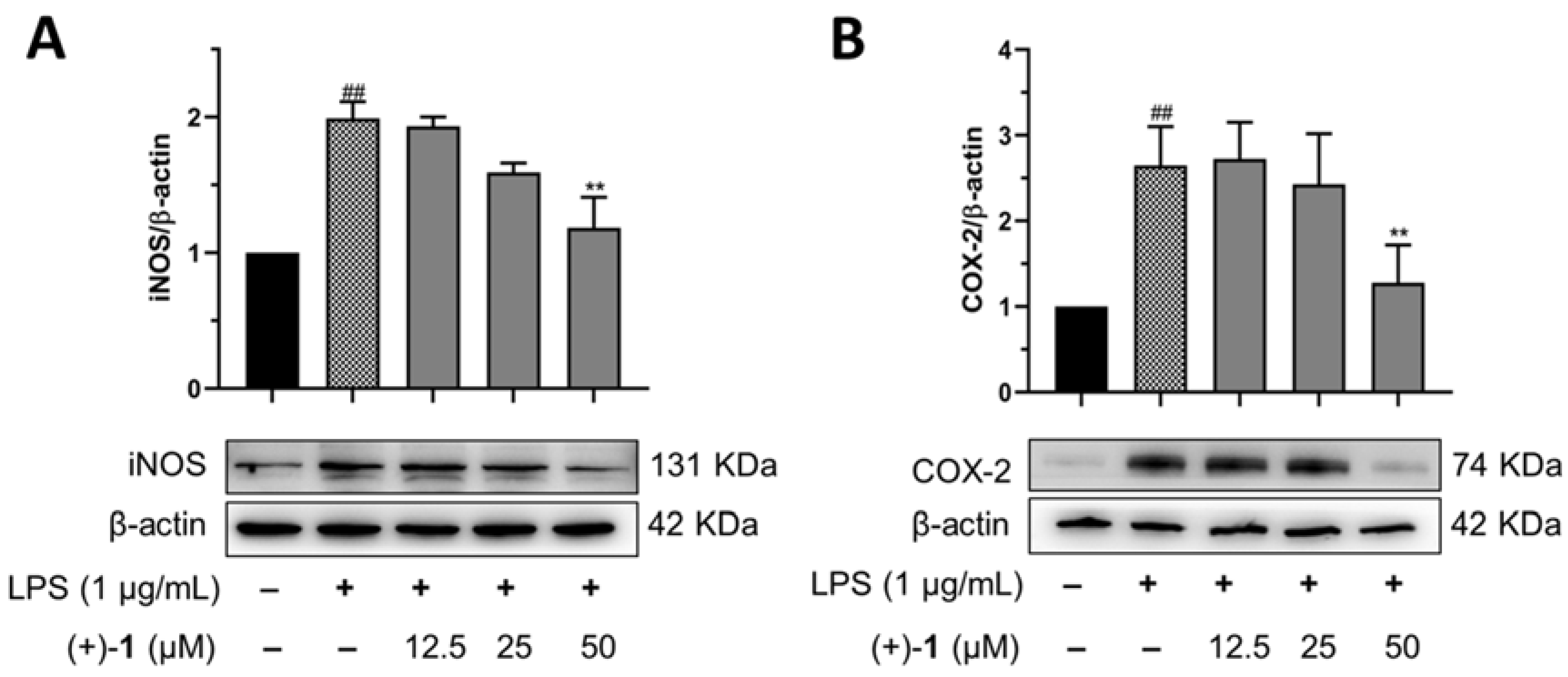 Molecules 27 06102 g007