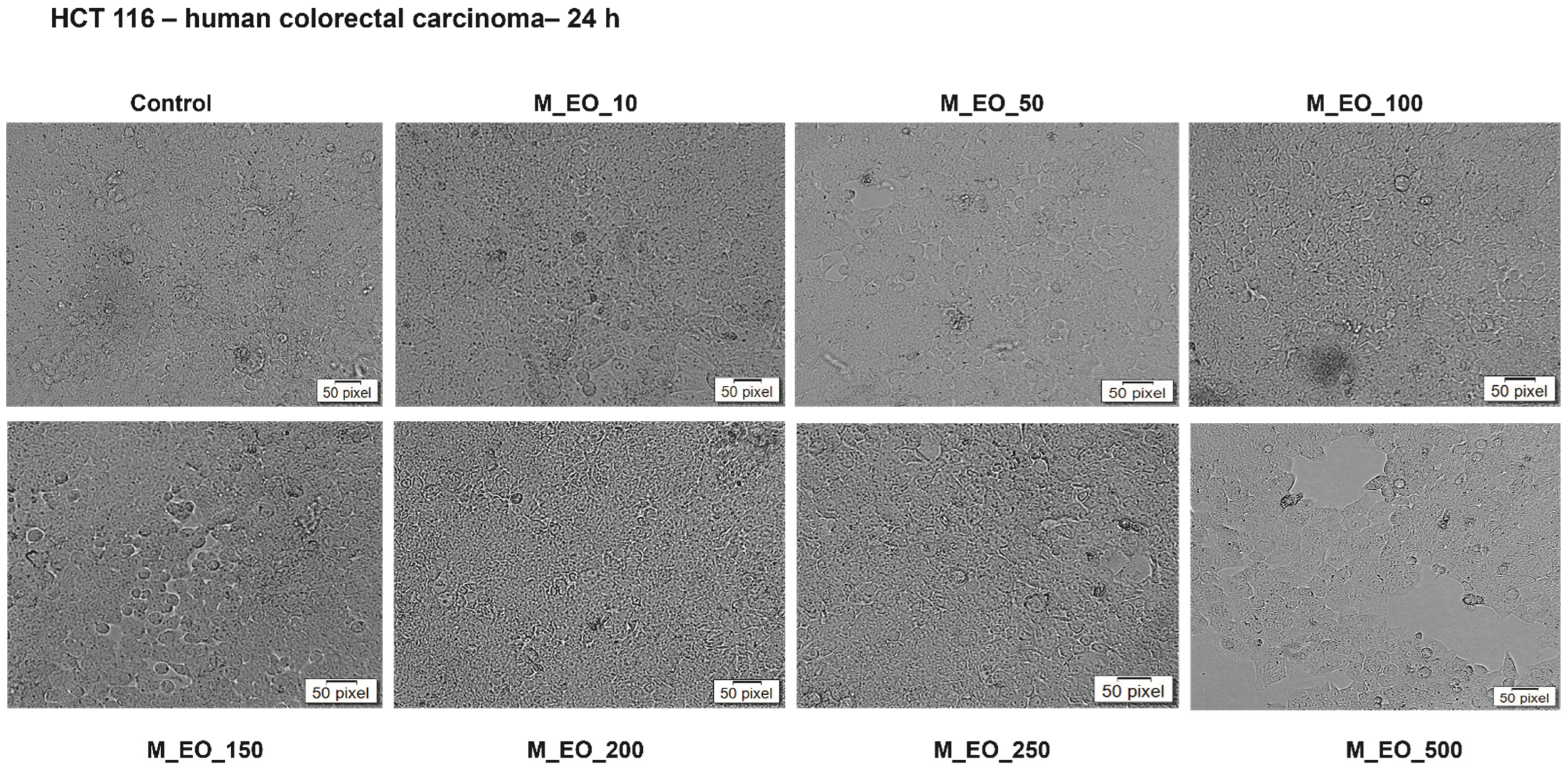 Molecules 27 06106 g002