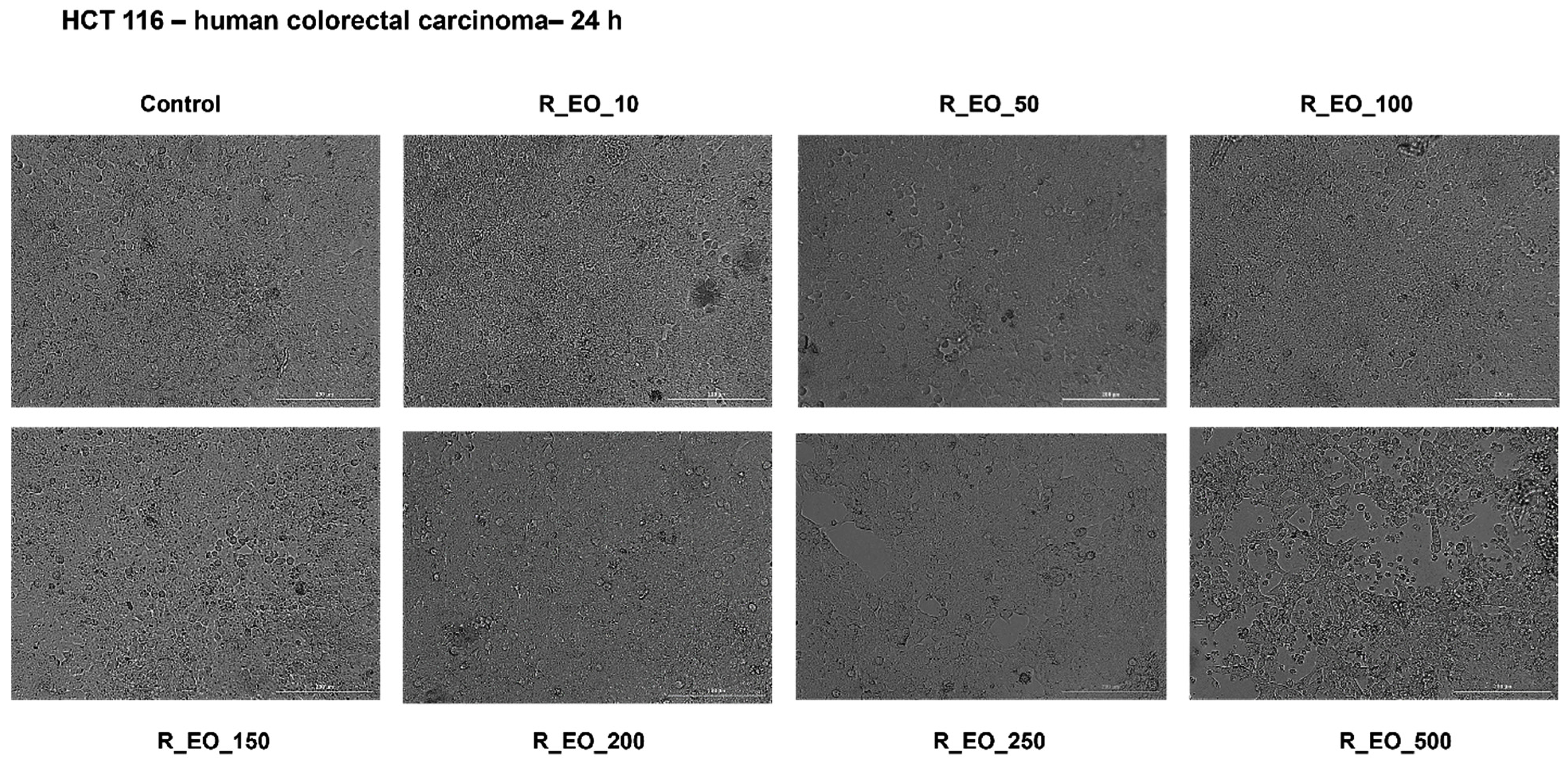 Molecules 27 06106 g007