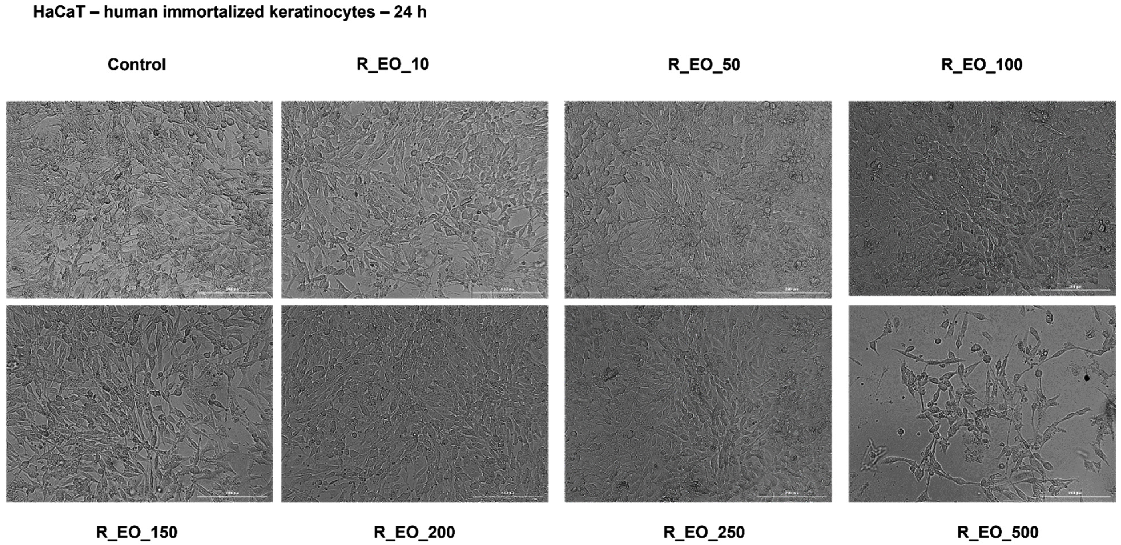 Molecules 27 06106 g010