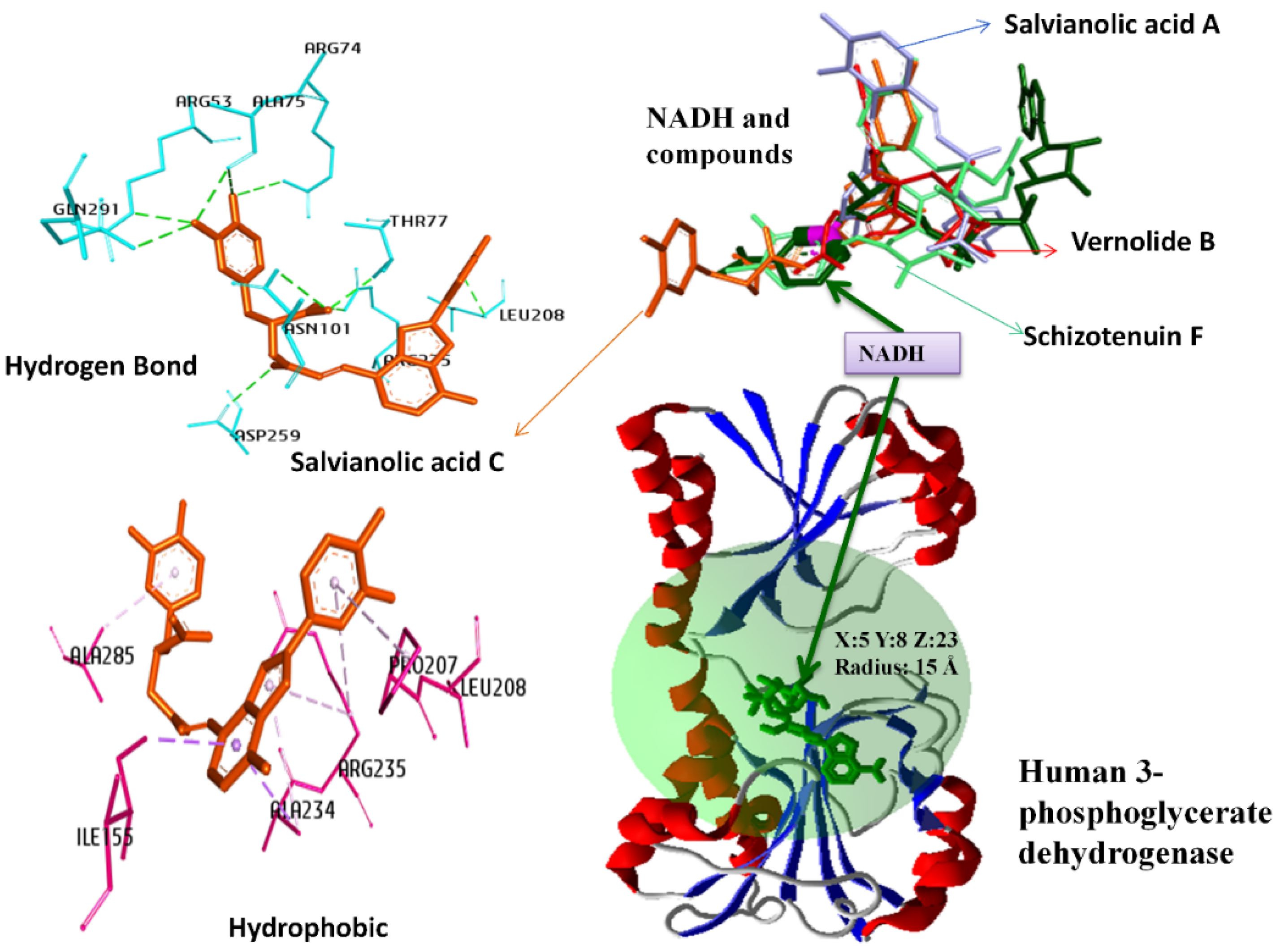 Molecules 27 06108 g001