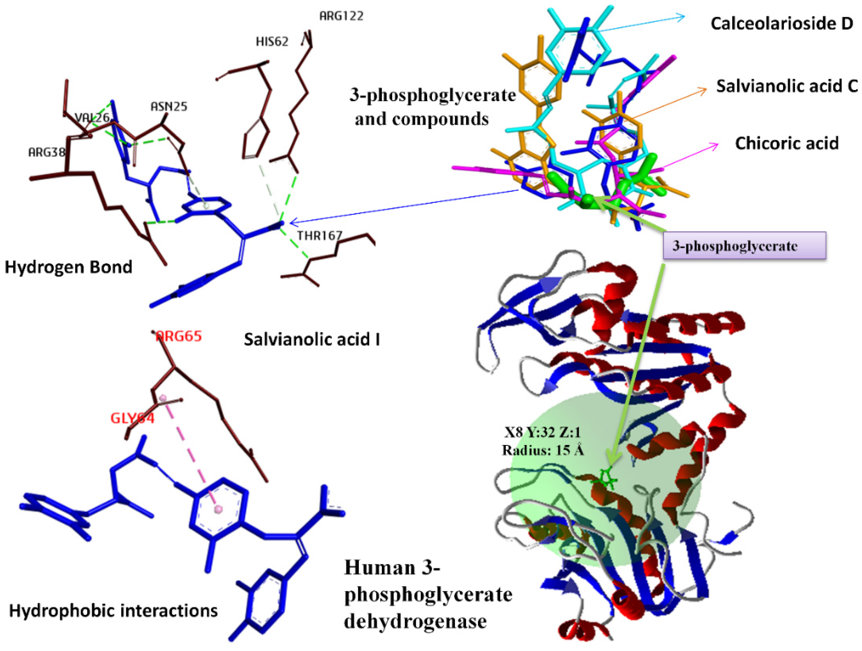 Molecules 27 06108 g002