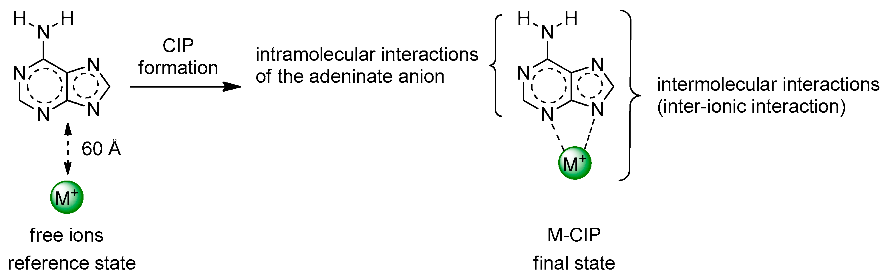 Molecules 27 06111 sch001 Molecules 27 06111 sch001