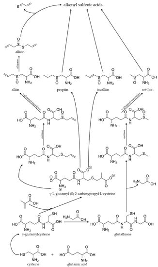Molecules 27 06116 g004