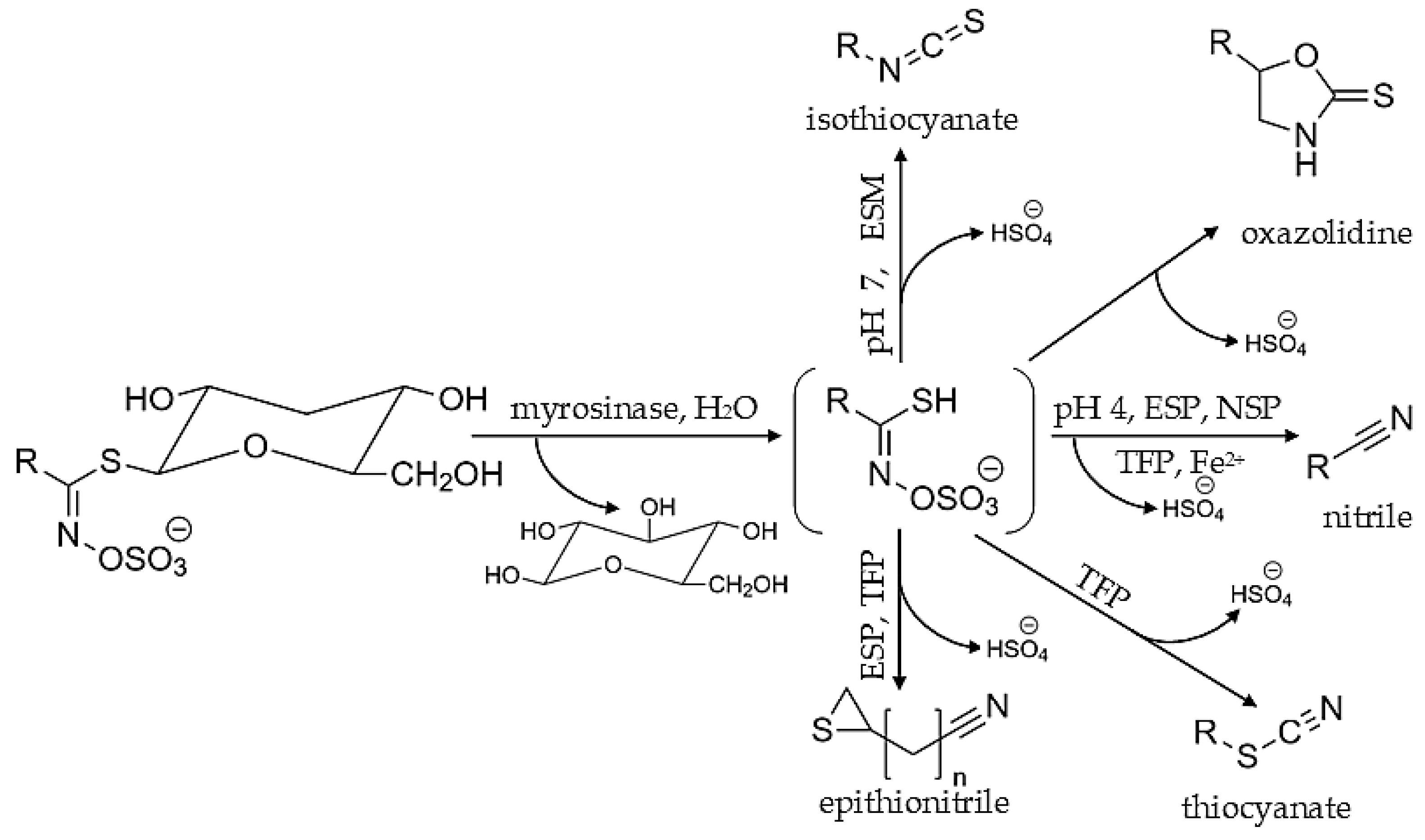 Molecules 27 06116 g005 Molecules 27 06116 g005