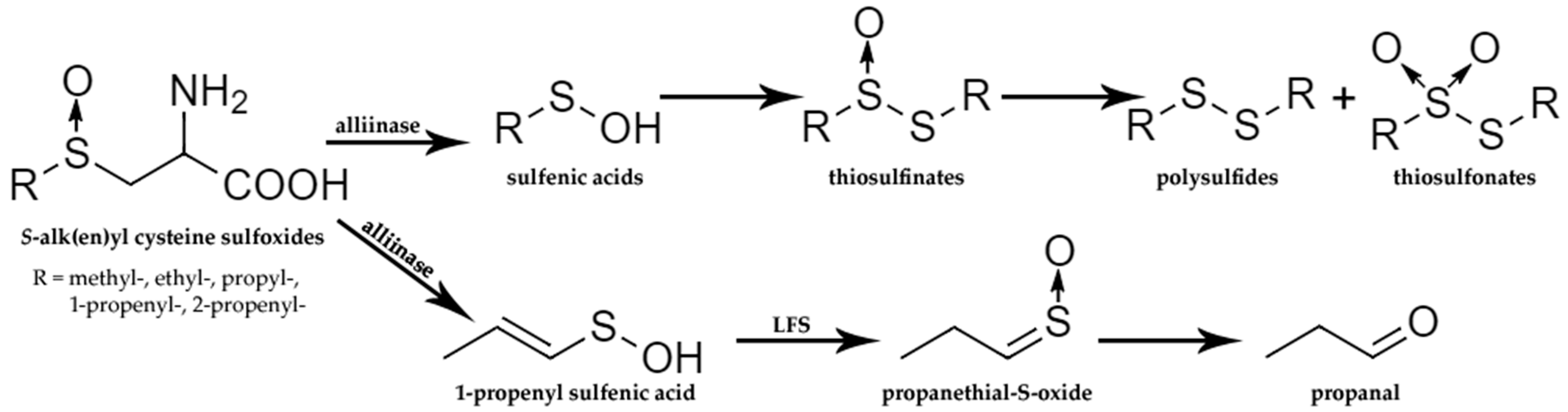 Molecules 27 06116 g007 Molecules 27 06116 g007