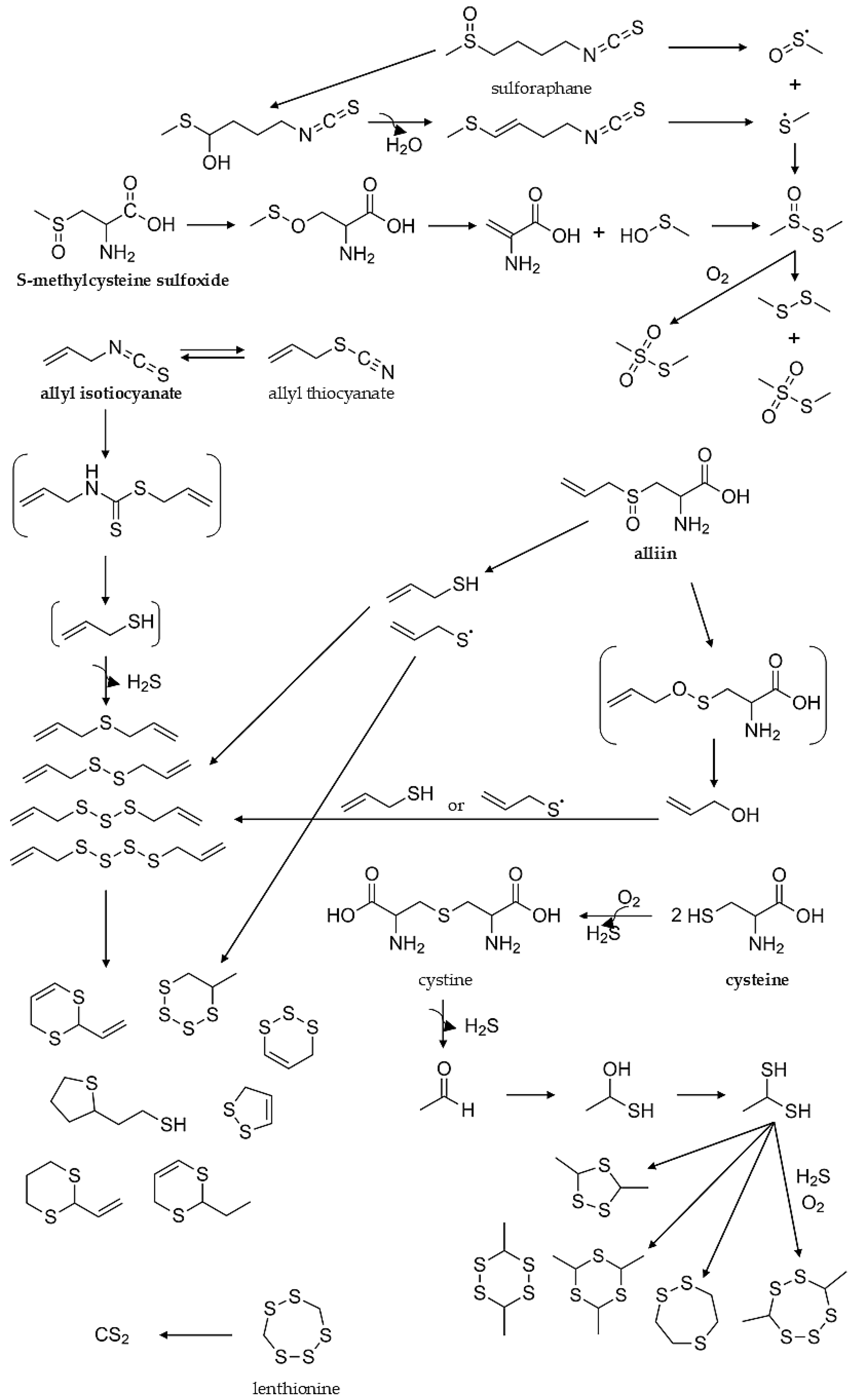 Molecules 27 06116 g010 Molecules 27 06116 g010