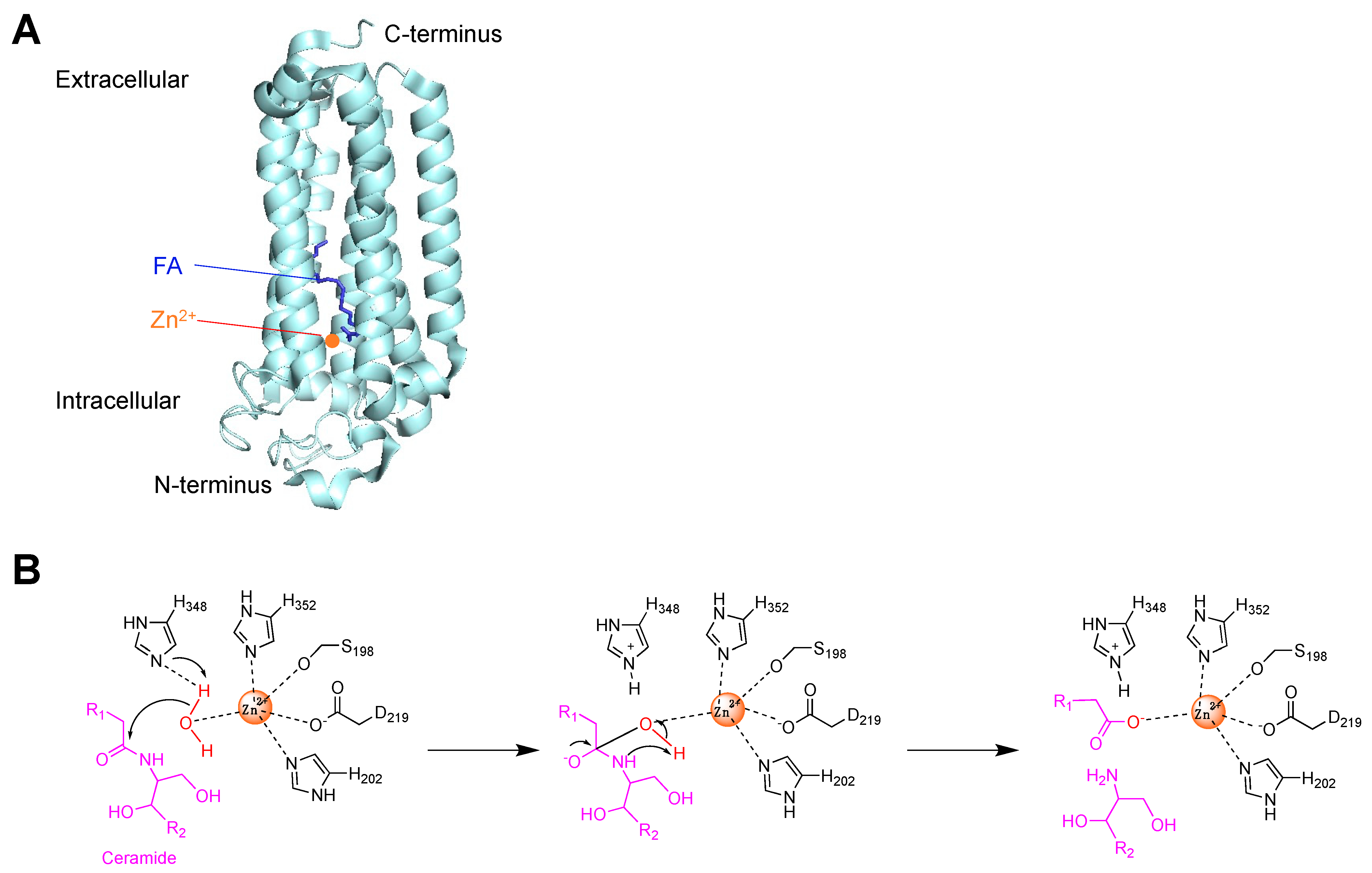 Molecules 27 06117 g002