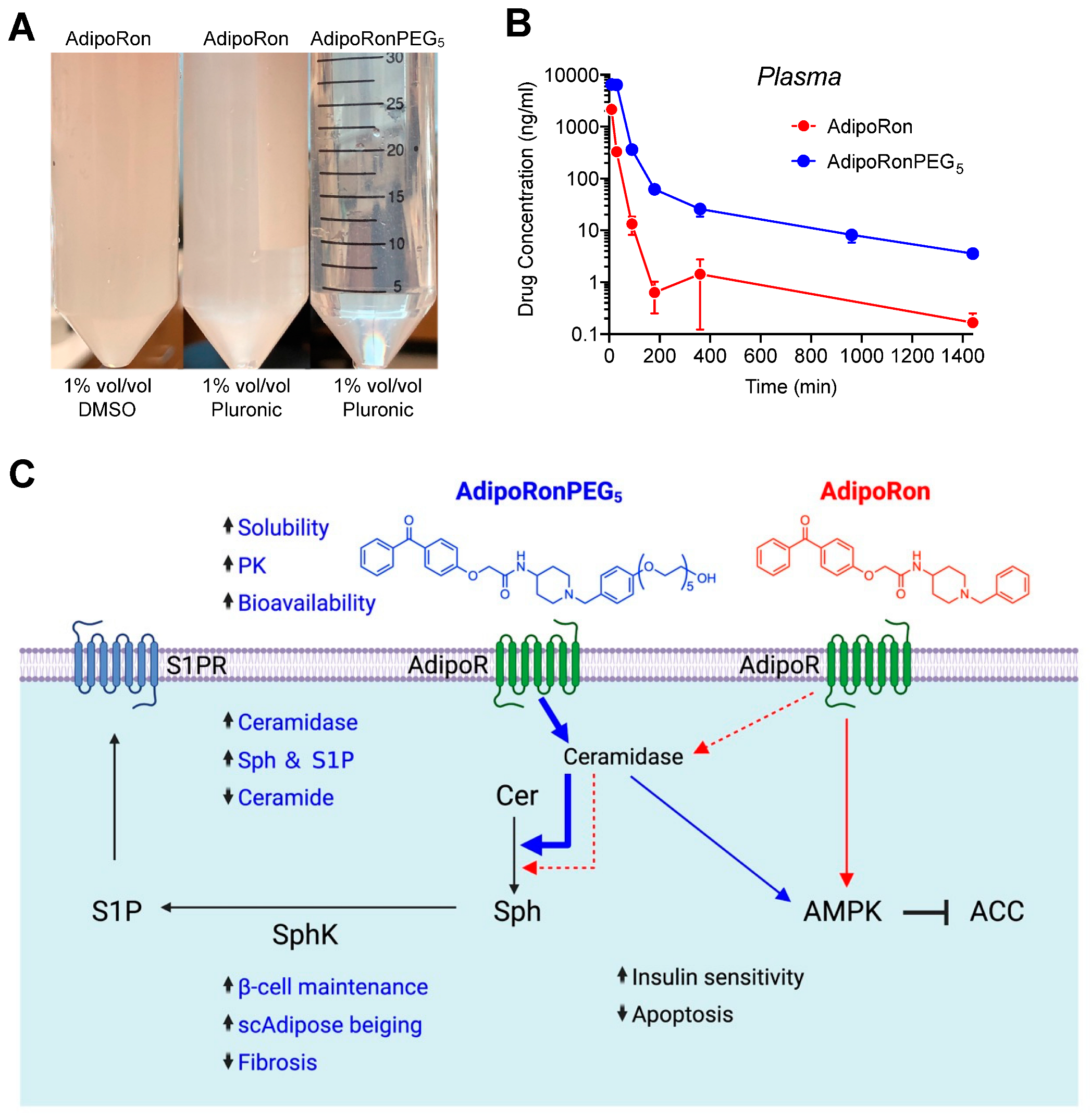 Molecules 27 06117 g005