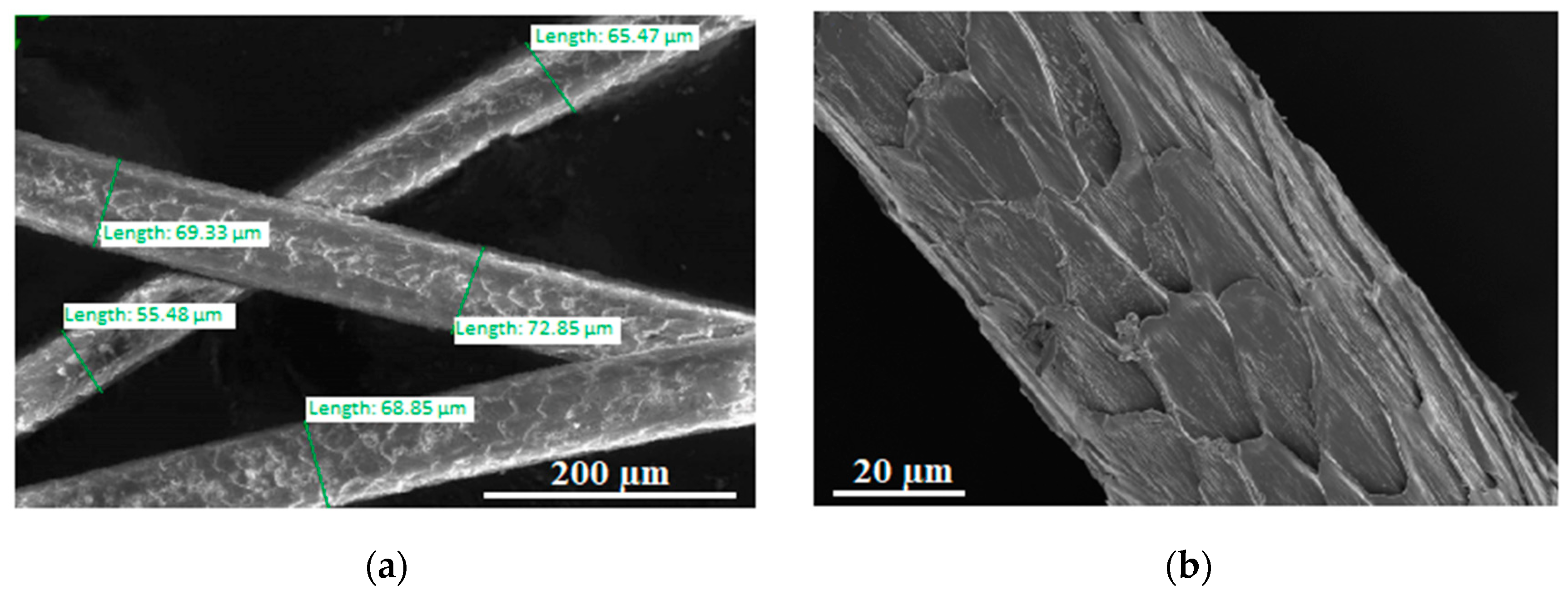Molecules 27 06119 g001a