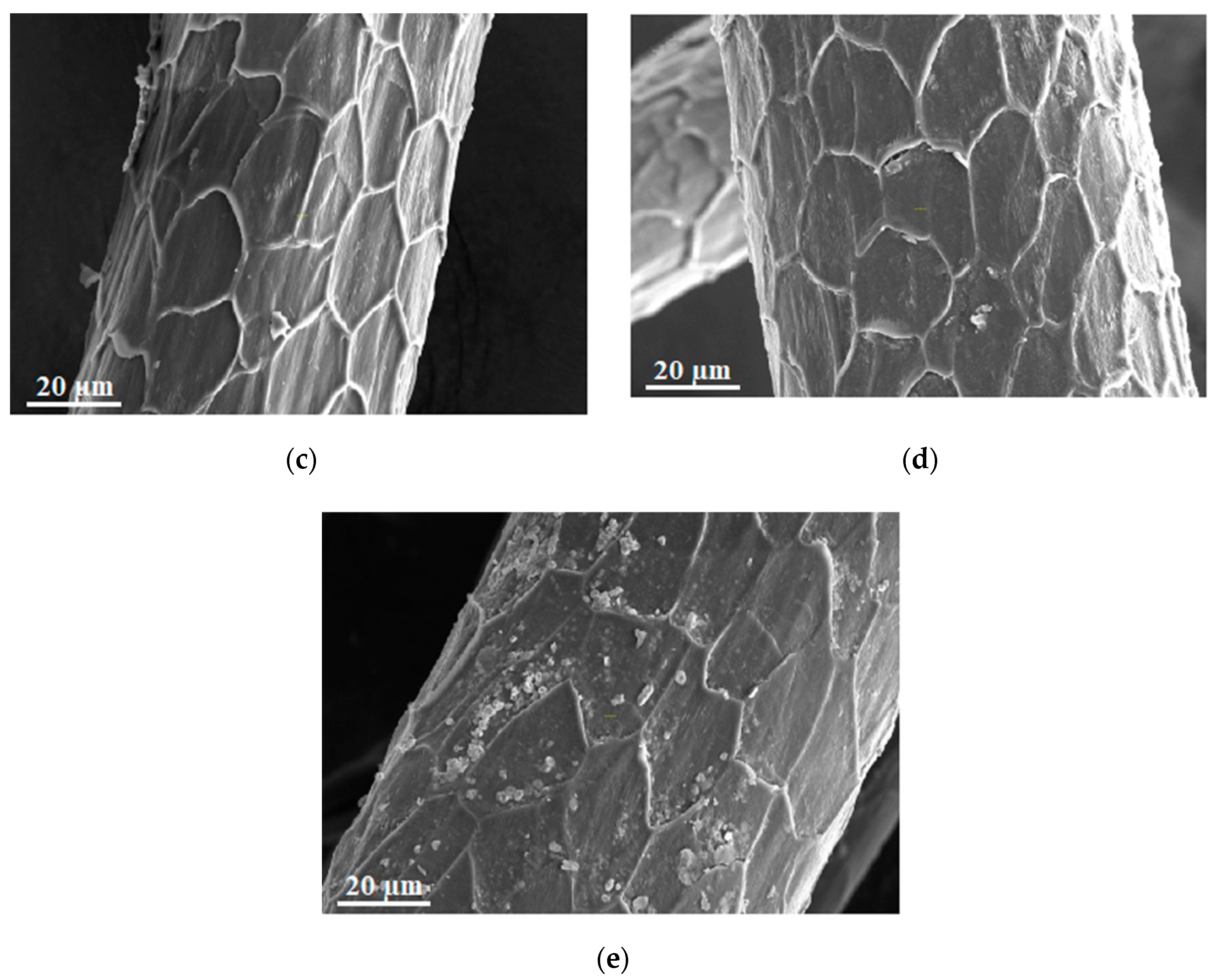 Molecules 27 06119 g001b