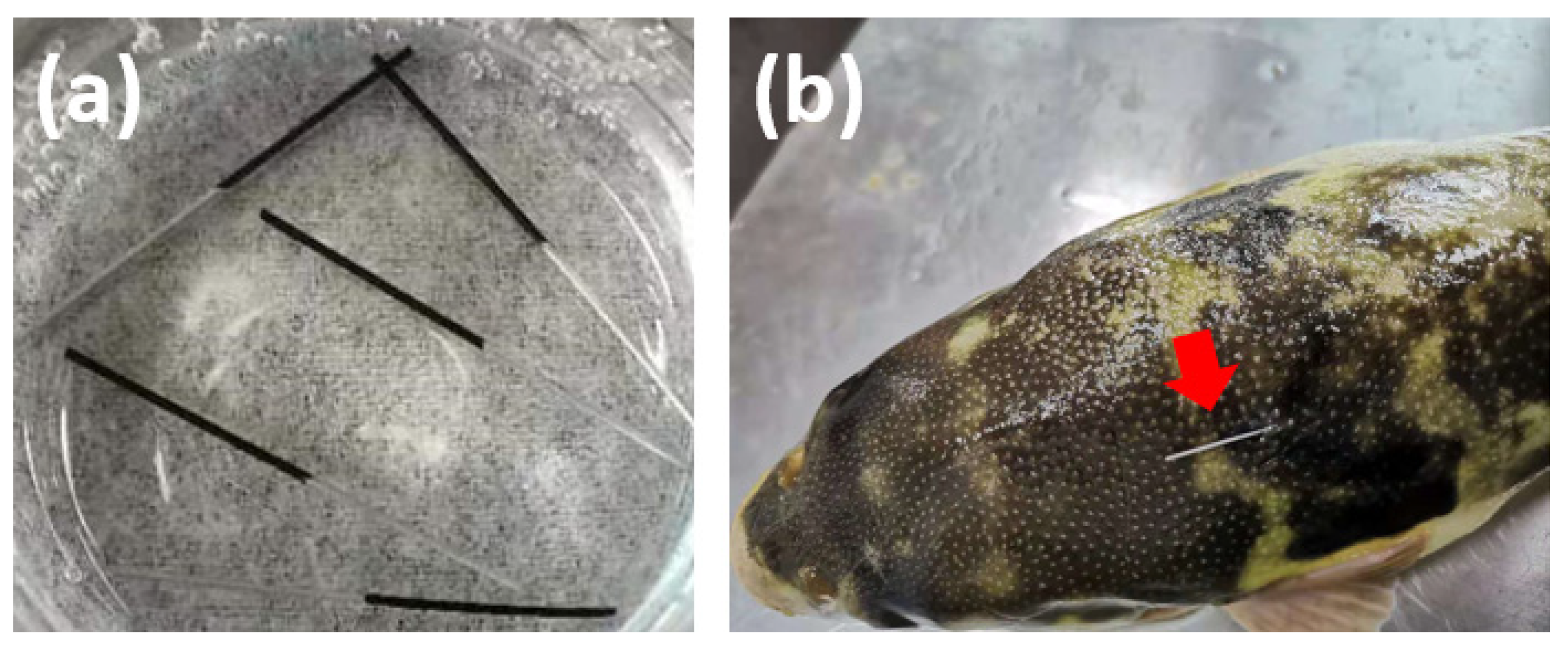 Molecules 27 06122 g001