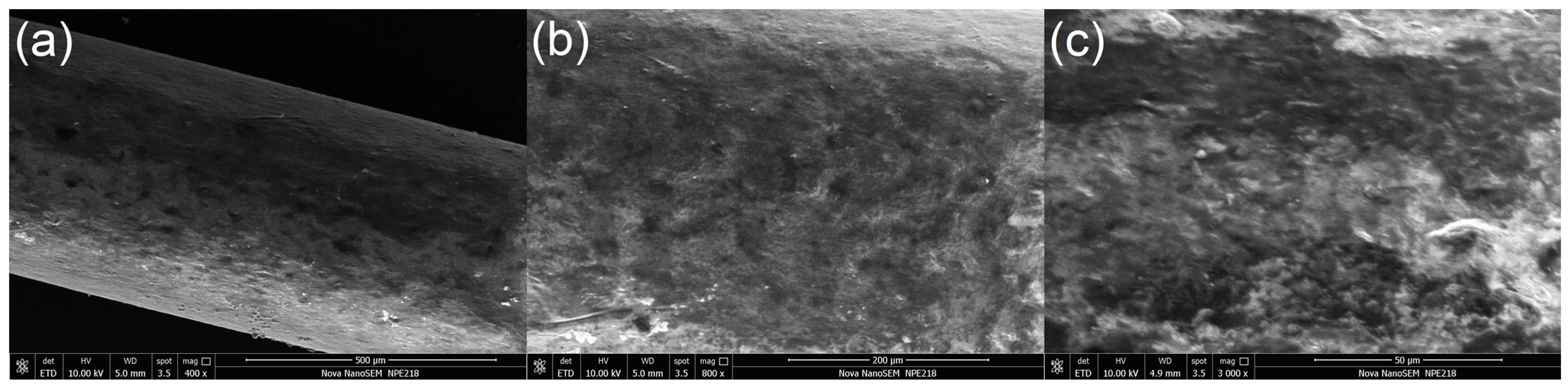 Molecules 27 06122 g002