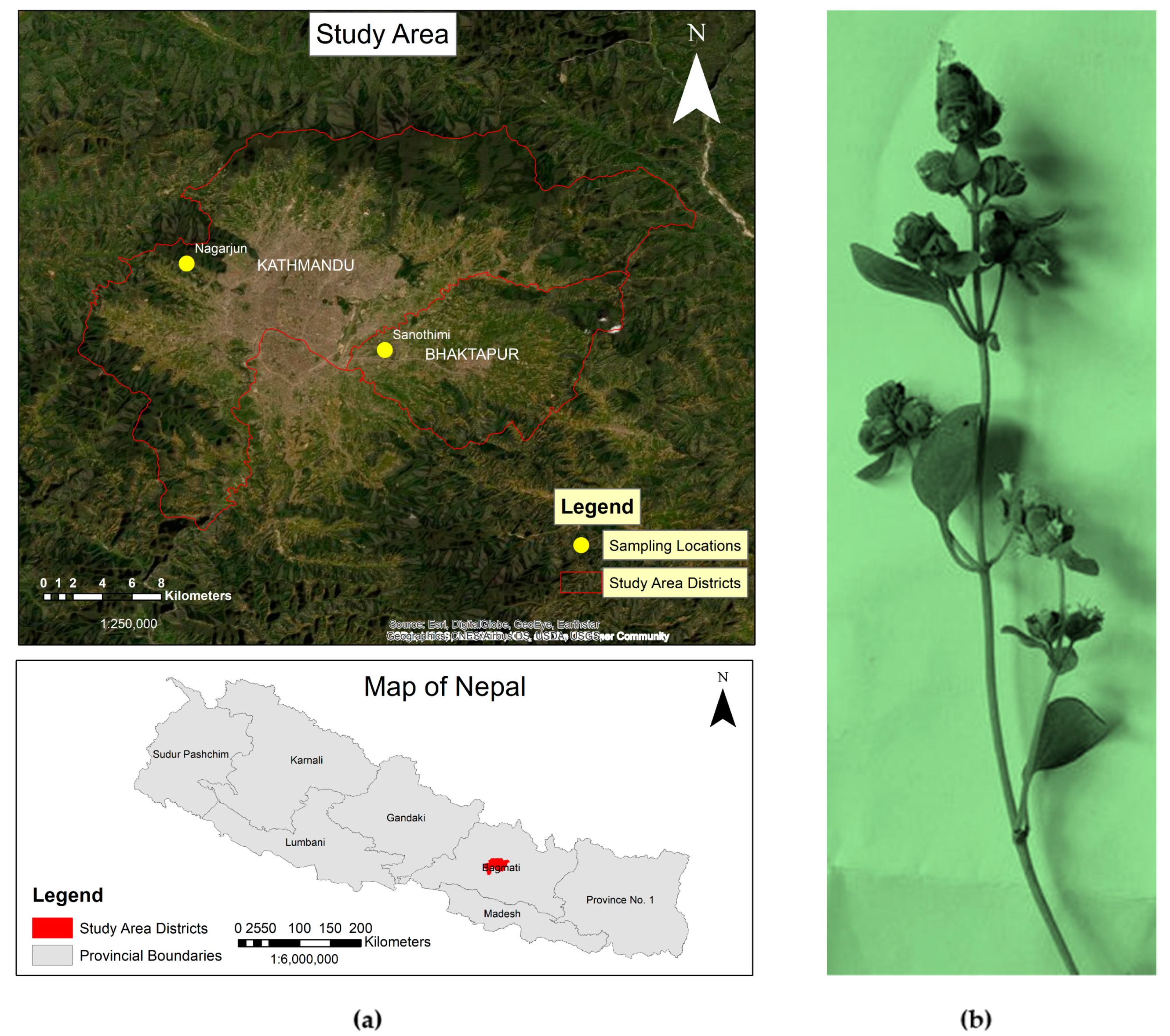Molecules 27 06136 g006