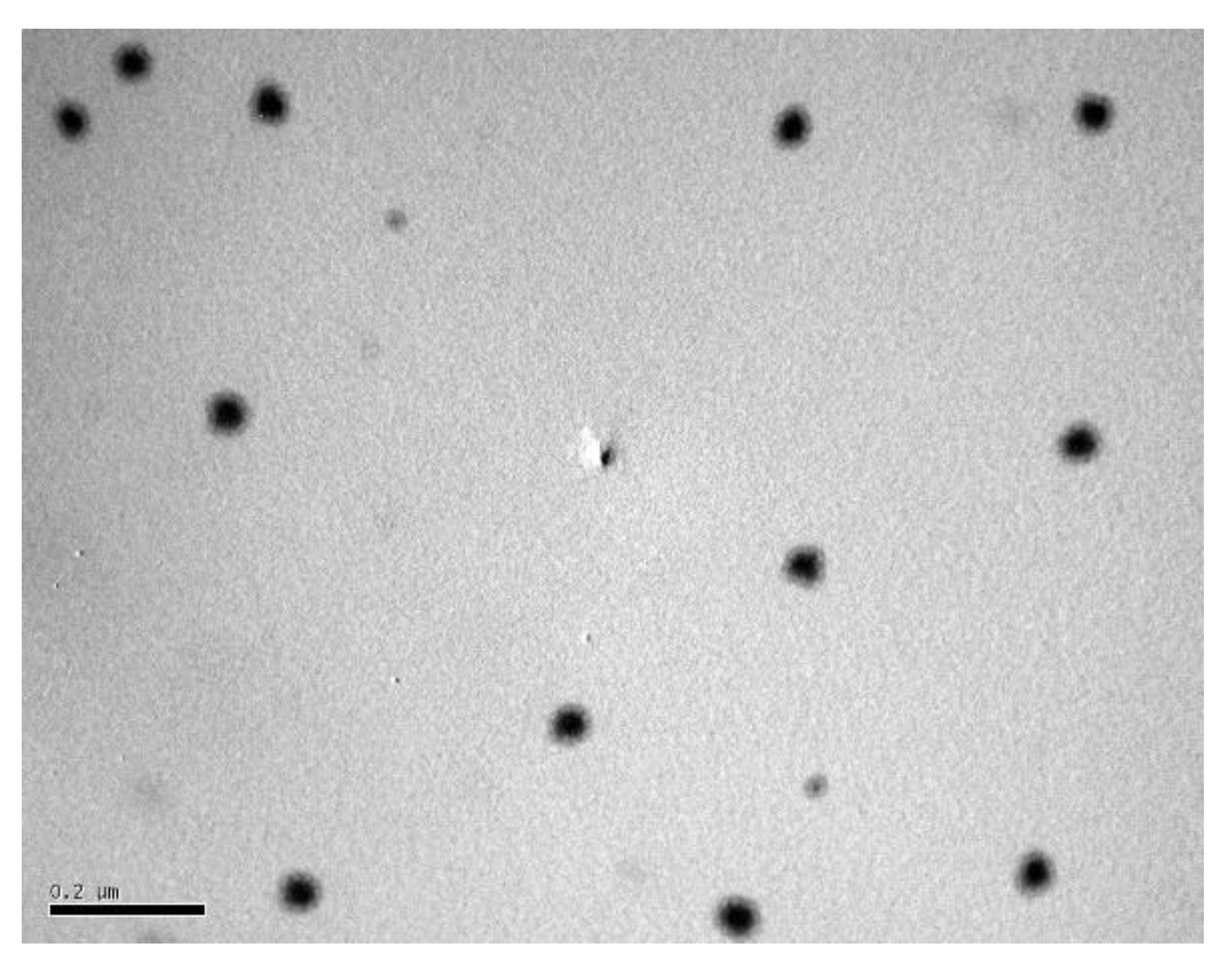 Molecules 27 06143 g003 Molecules 27 06143 g003