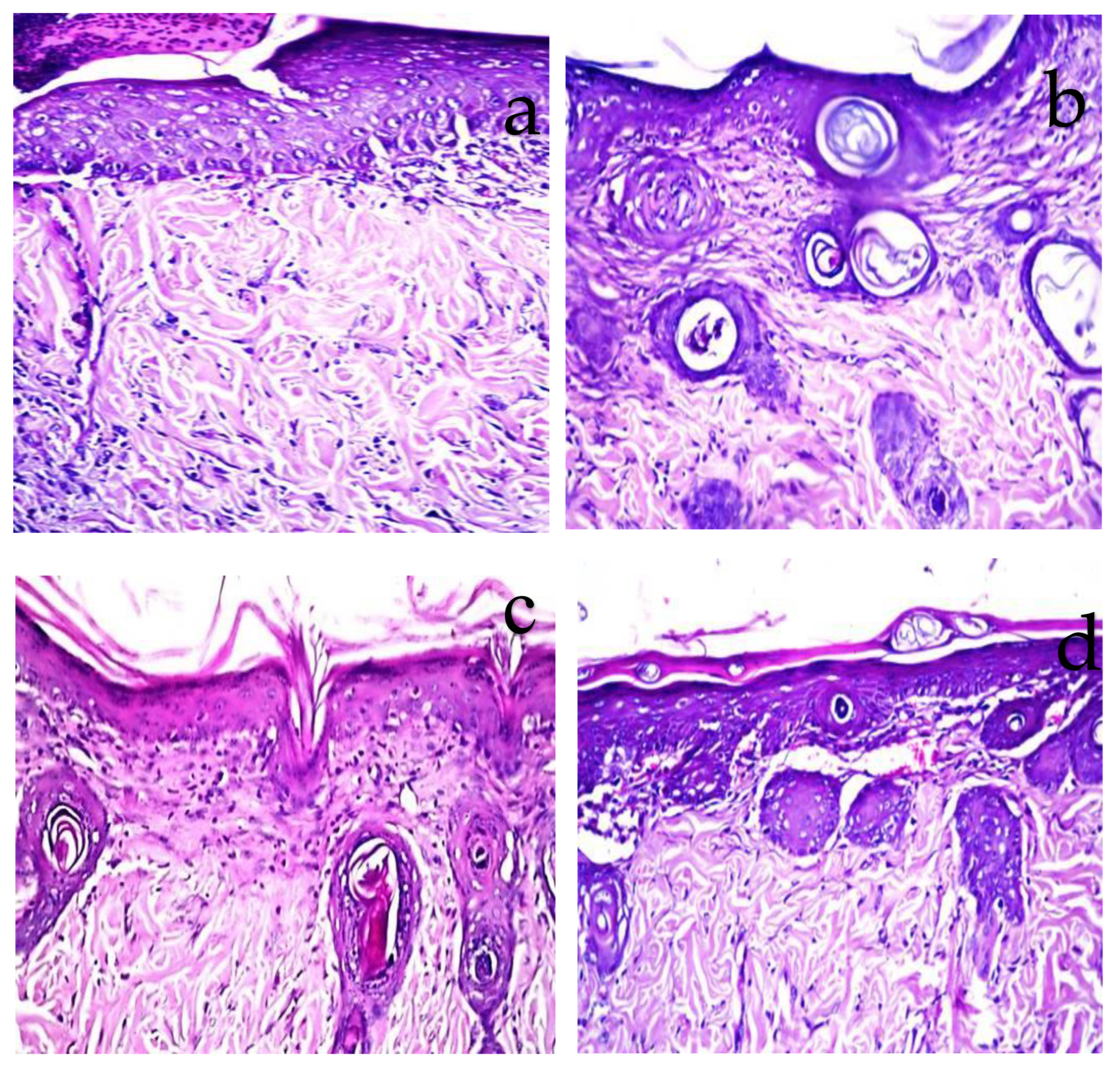 Molecules 27 06143 g007 Molecules 27 06143 g007
