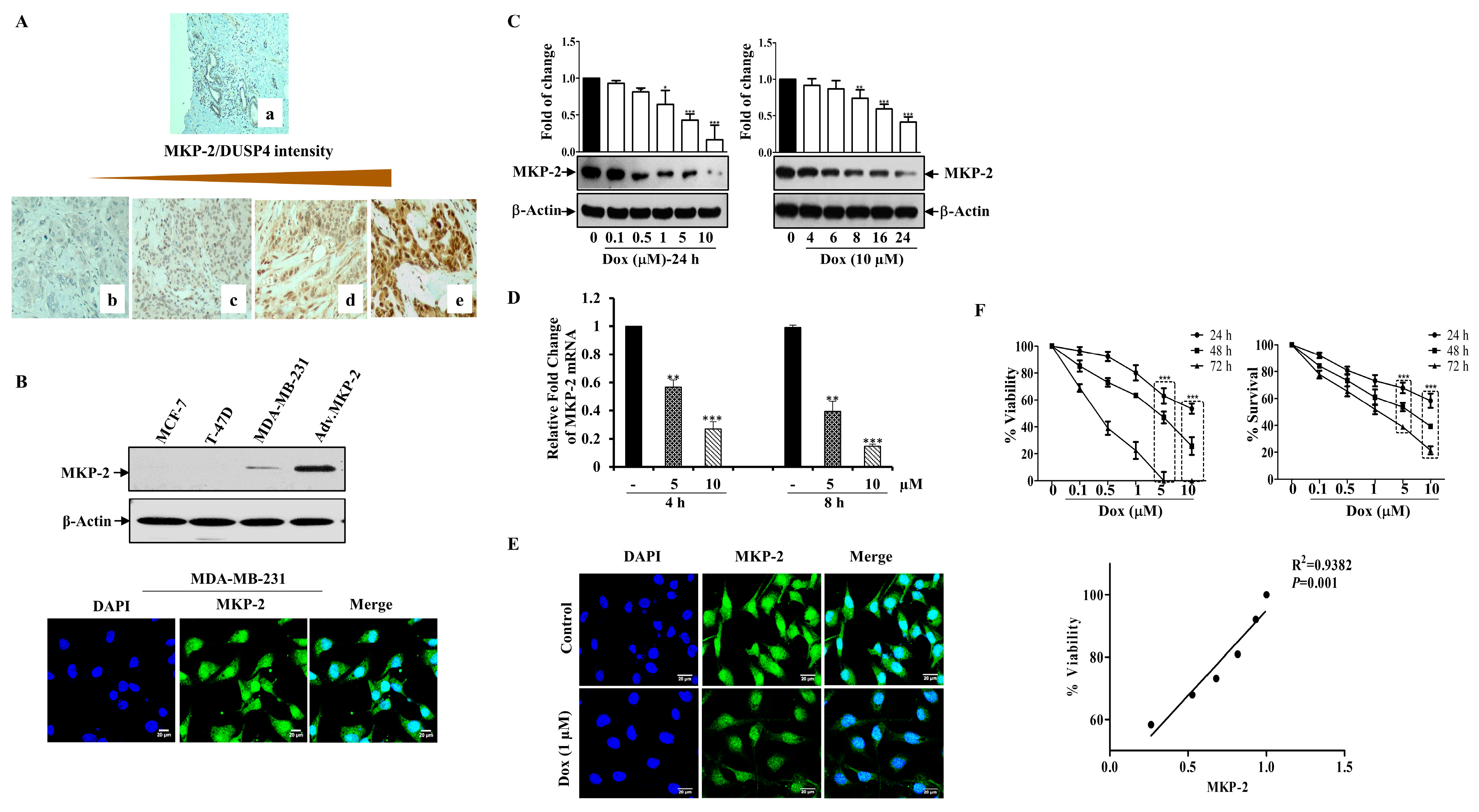 Molecules 27 06146 g001