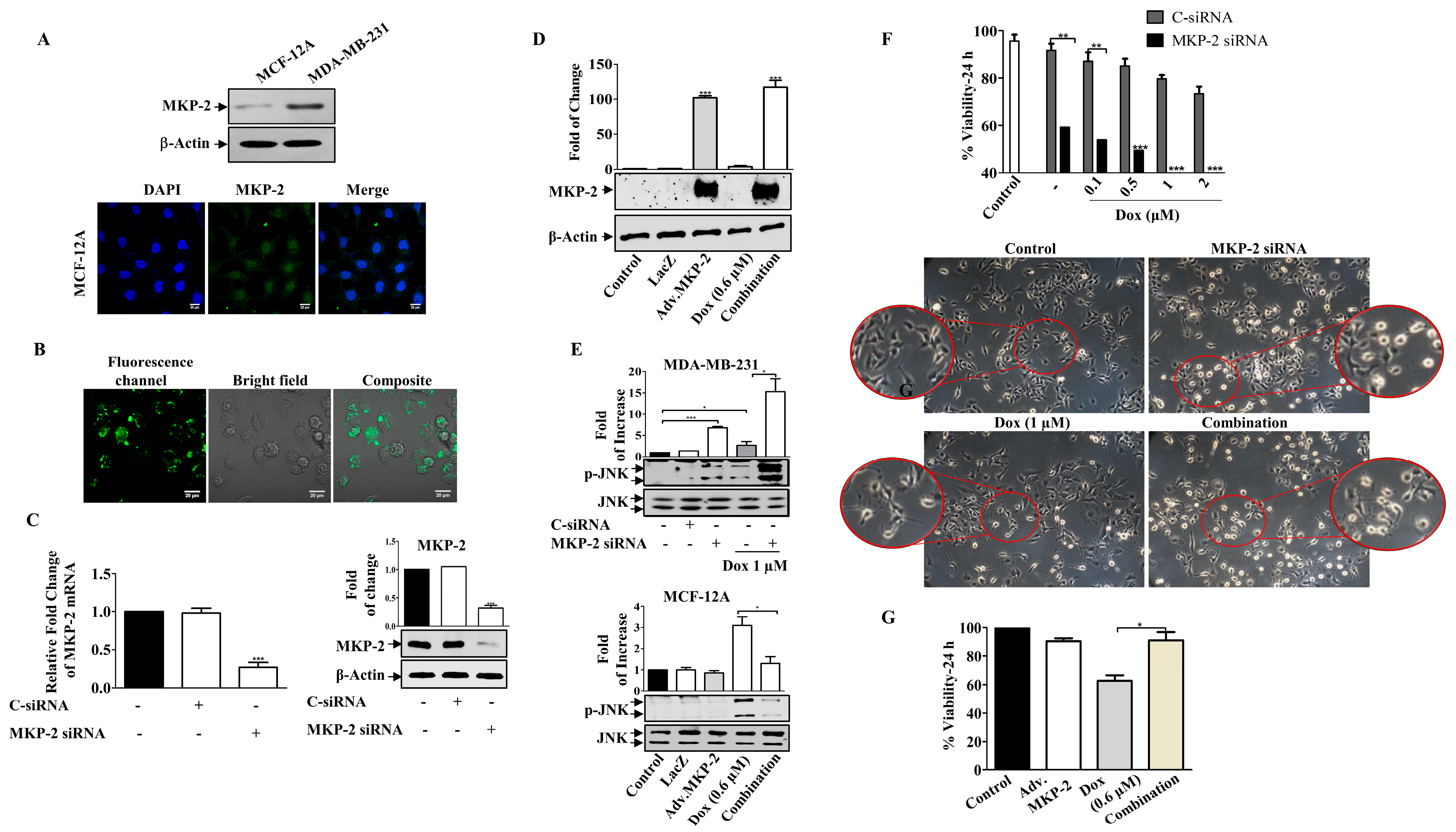 Molecules 27 06146 g003