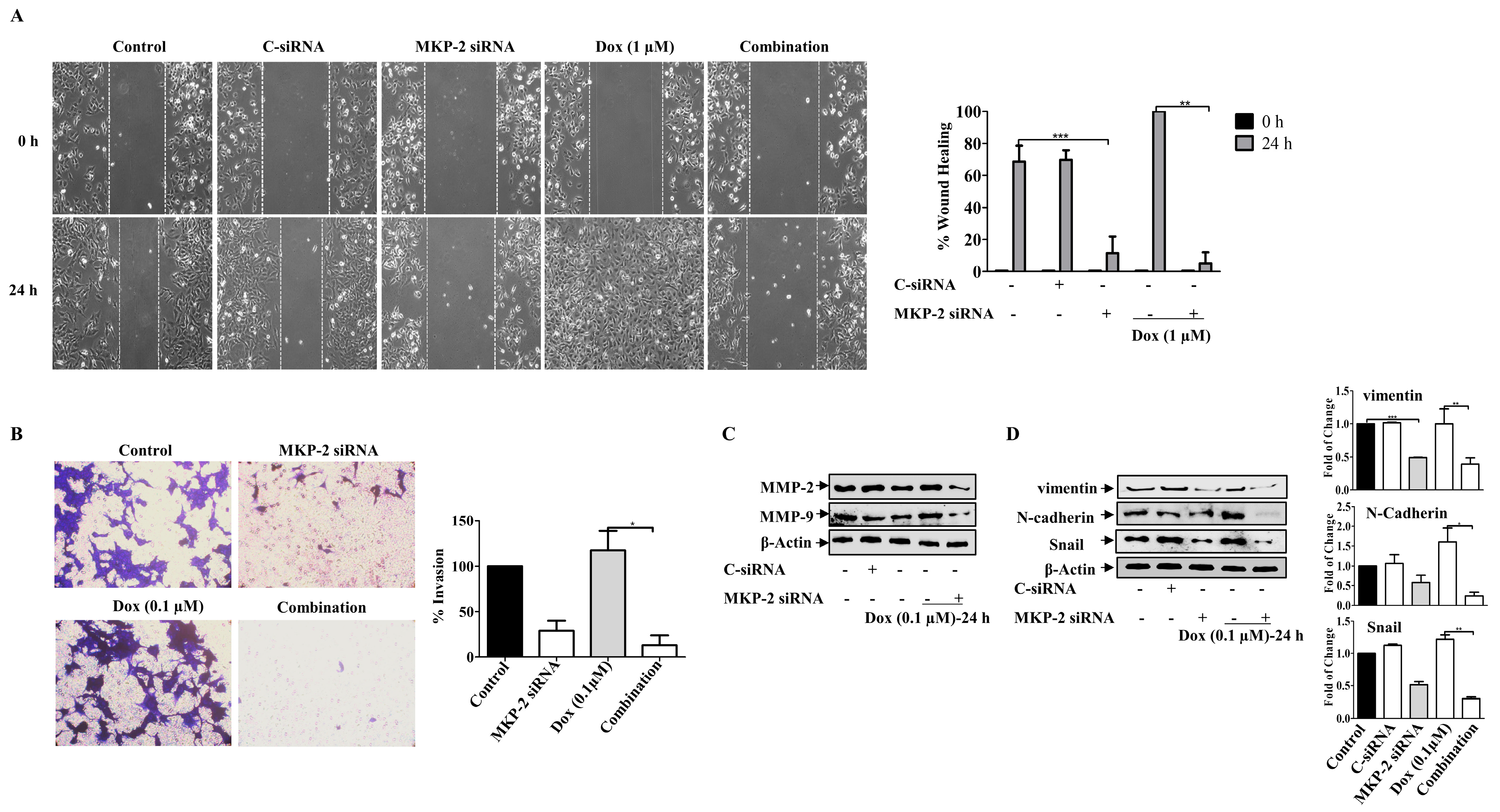 Molecules 27 06146 g006