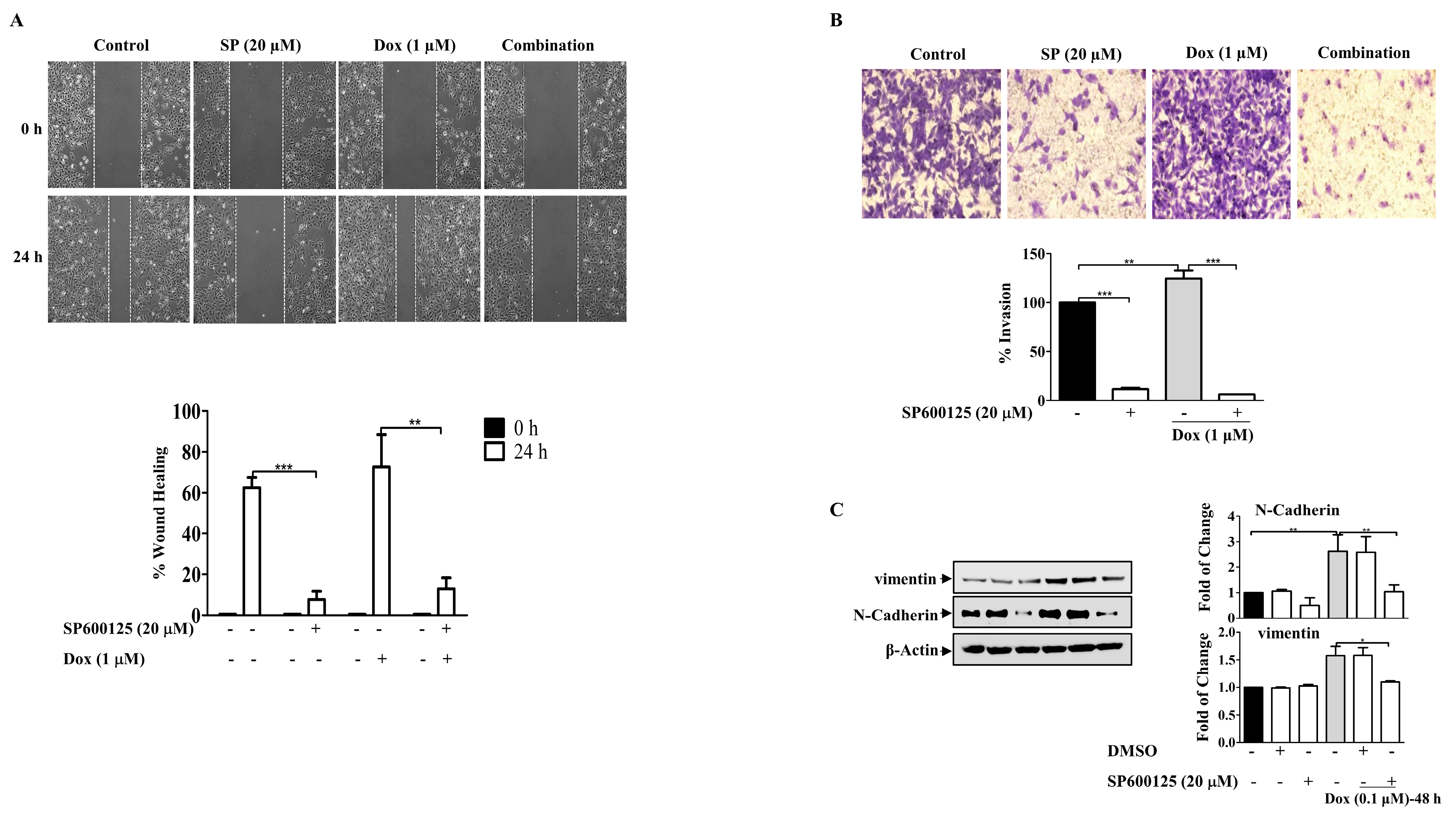 Molecules 27 06146 g008