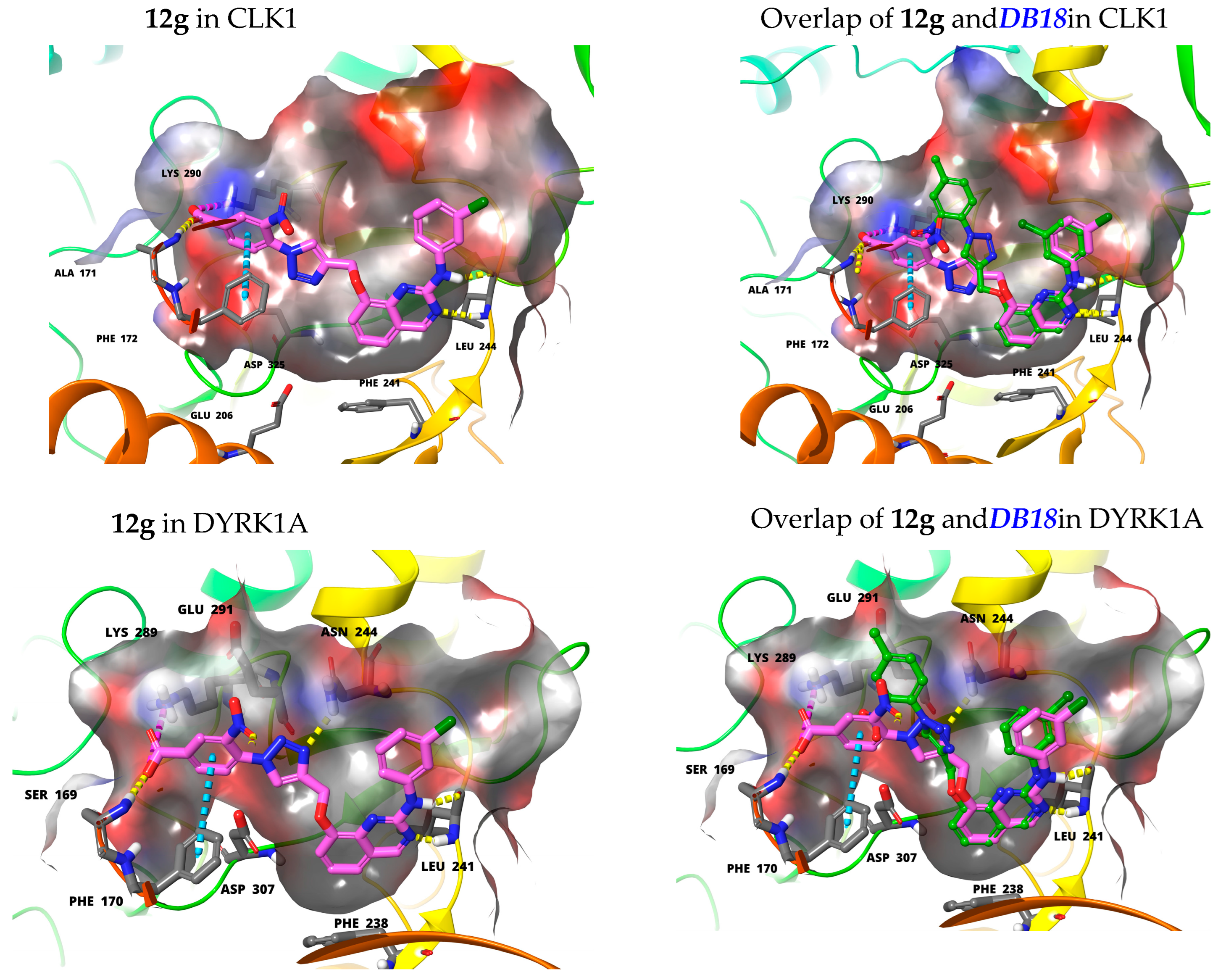 Molecules 27 06149 g003