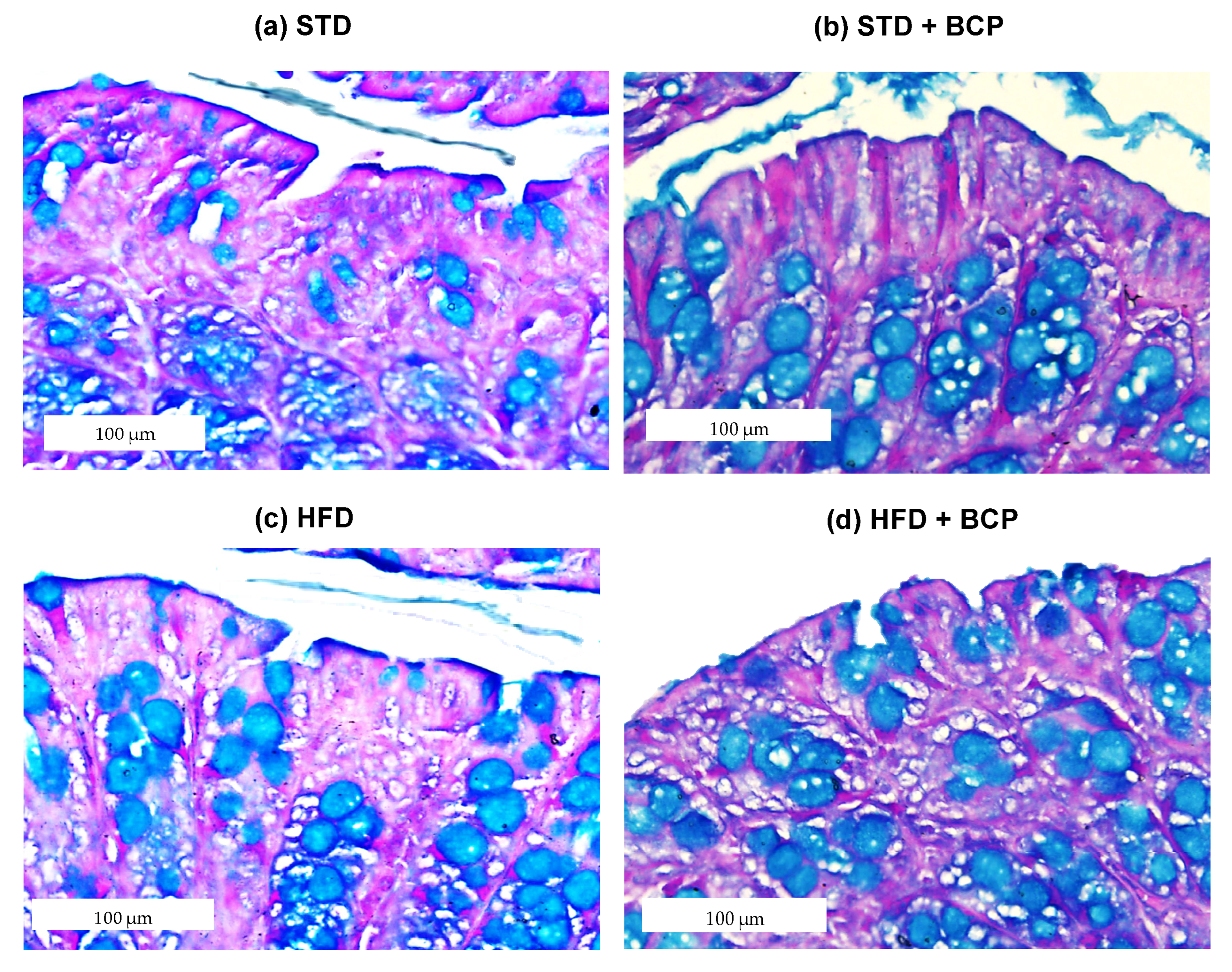 Molecules 27 06156 g0a4 Molecules 27 06156 g0a4