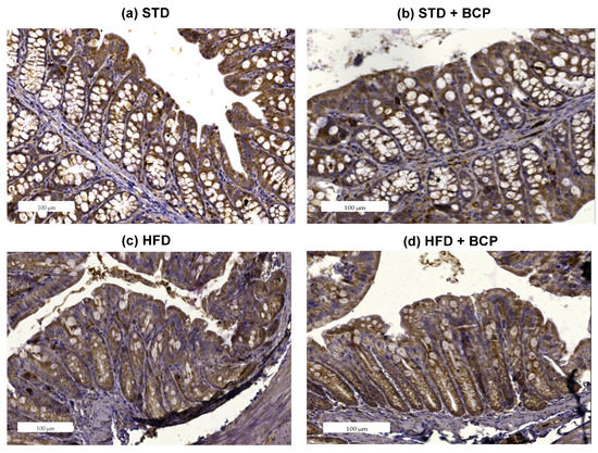 Molecules 27 06156 g0a5