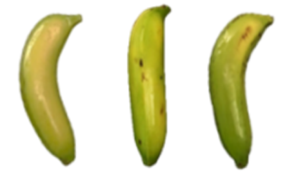 Molecules 27 06157 i002