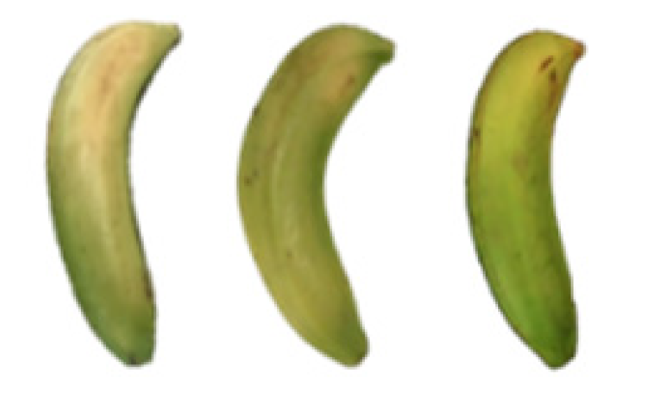 Molecules 27 06157 i004