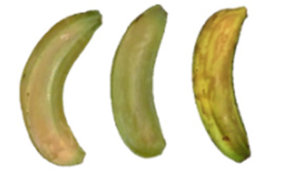 Molecules 27 06157 i005