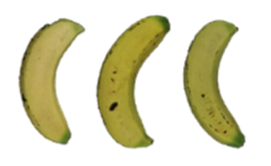 Molecules 27 06157 i006