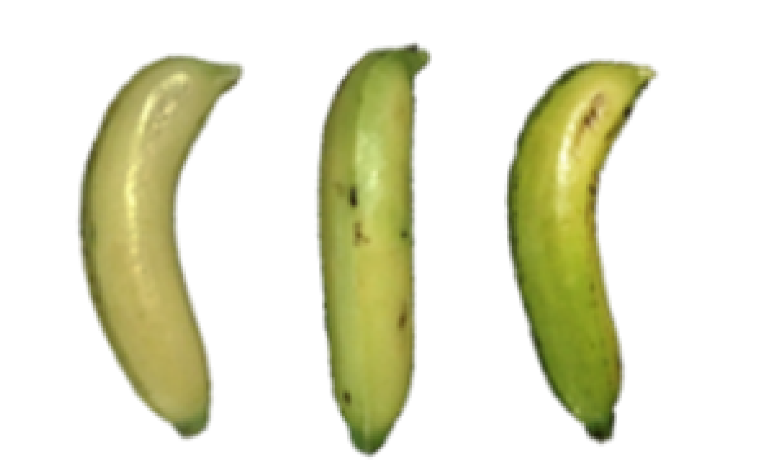 Molecules 27 06157 i007