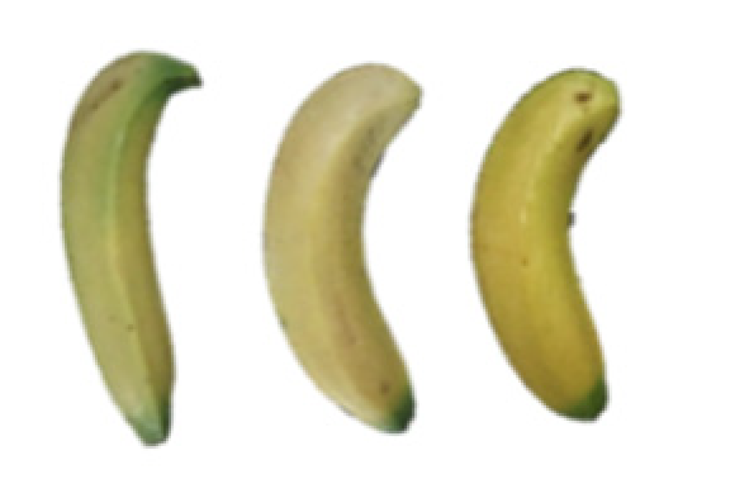 Molecules 27 06157 i008