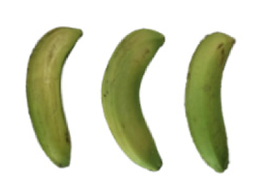 Molecules 27 06157 i009