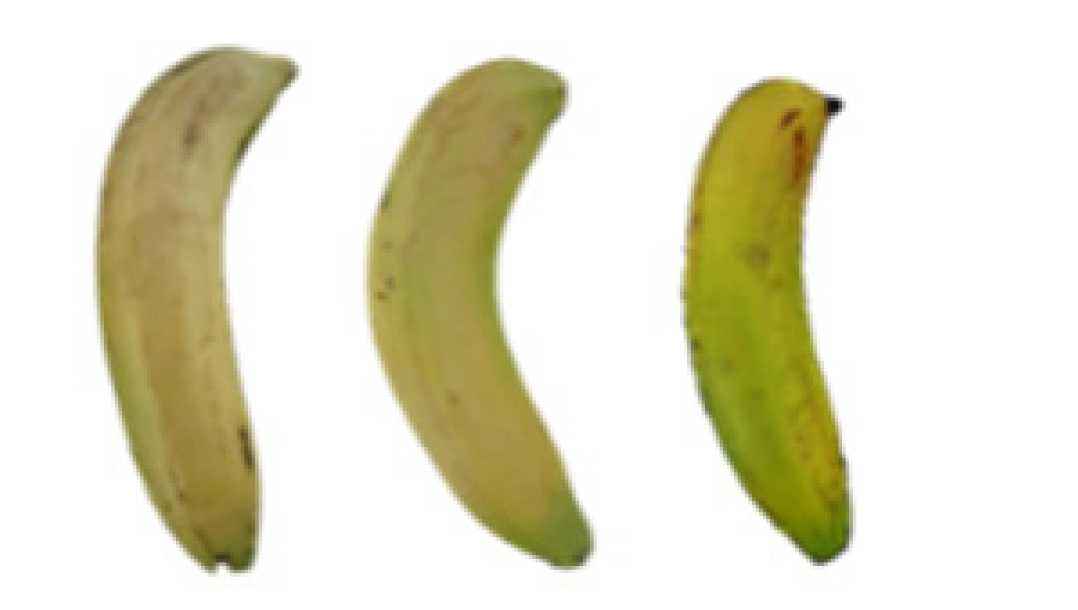 Molecules 27 06157 i014