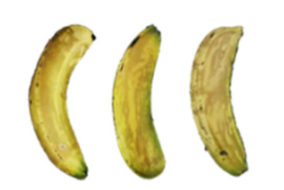 Molecules 27 06157 i015