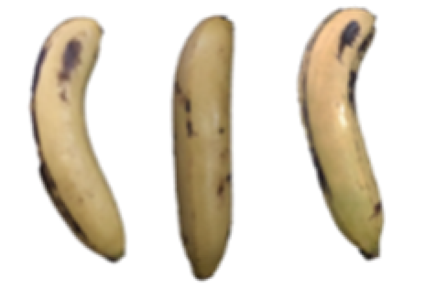 Molecules 27 06157 i022