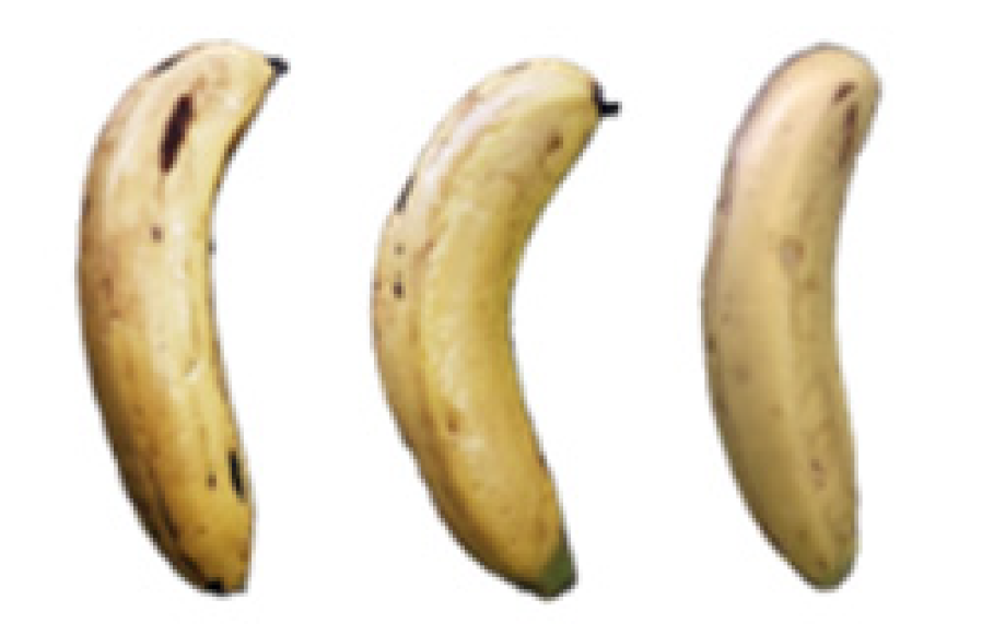 Molecules 27 06157 i024