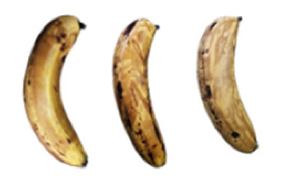 Molecules 27 06157 i025