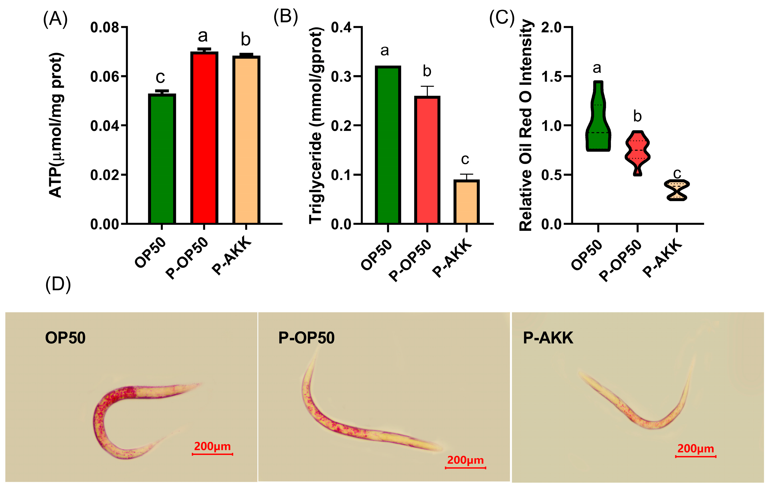 Molecules 27 06159 g002